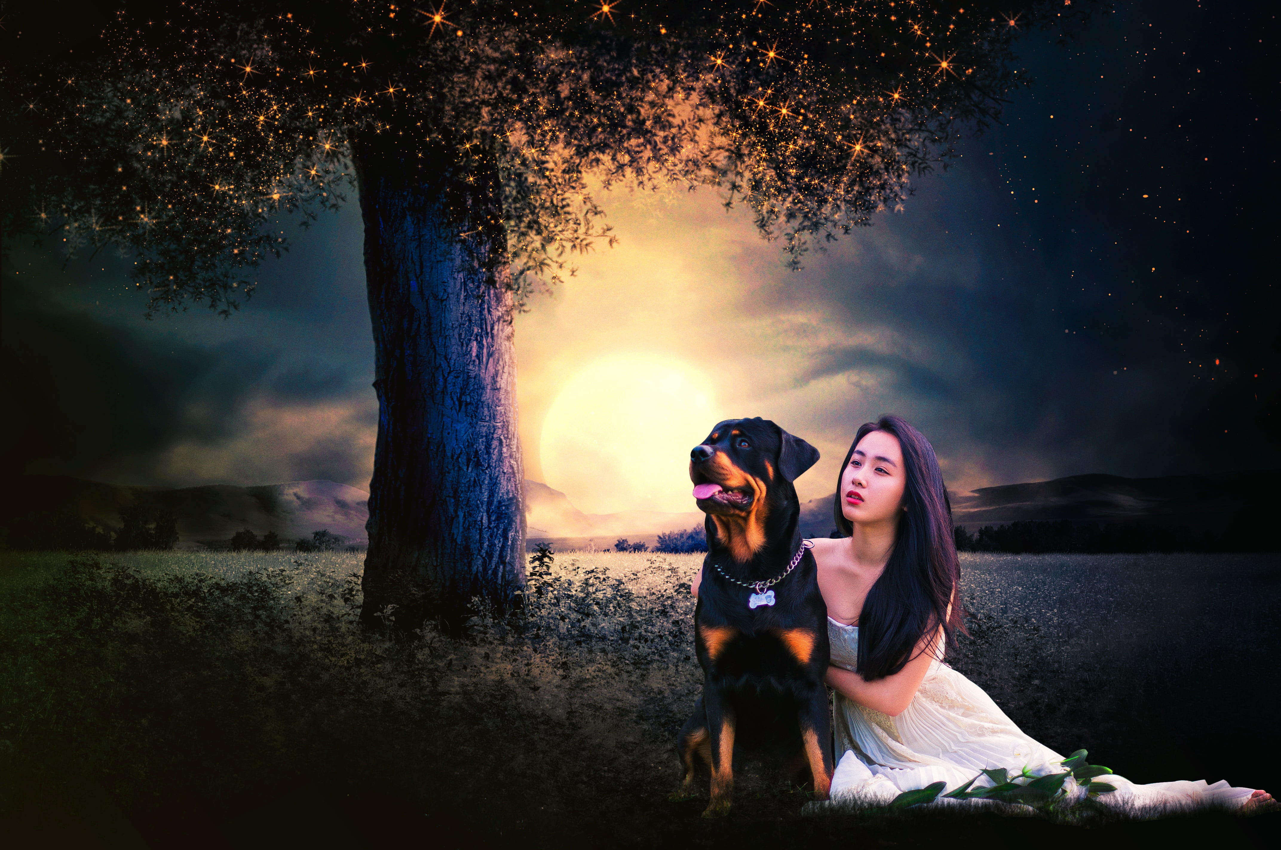 girl, outdoor, couple - relationship, person, dog, tress, waiting, two people, looking, beauty, painting, natural, field, white gown, dark, shadows, black, HD Wallpaper