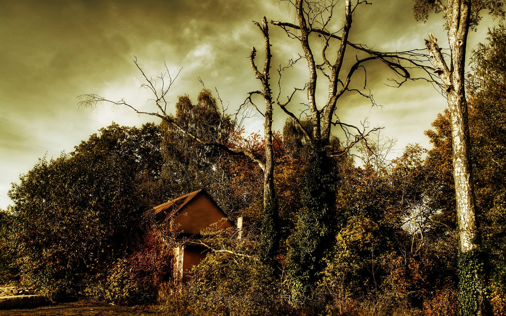 trees, house, hidden, tress, background, maple, nature, 1080P, HD Wallpaper