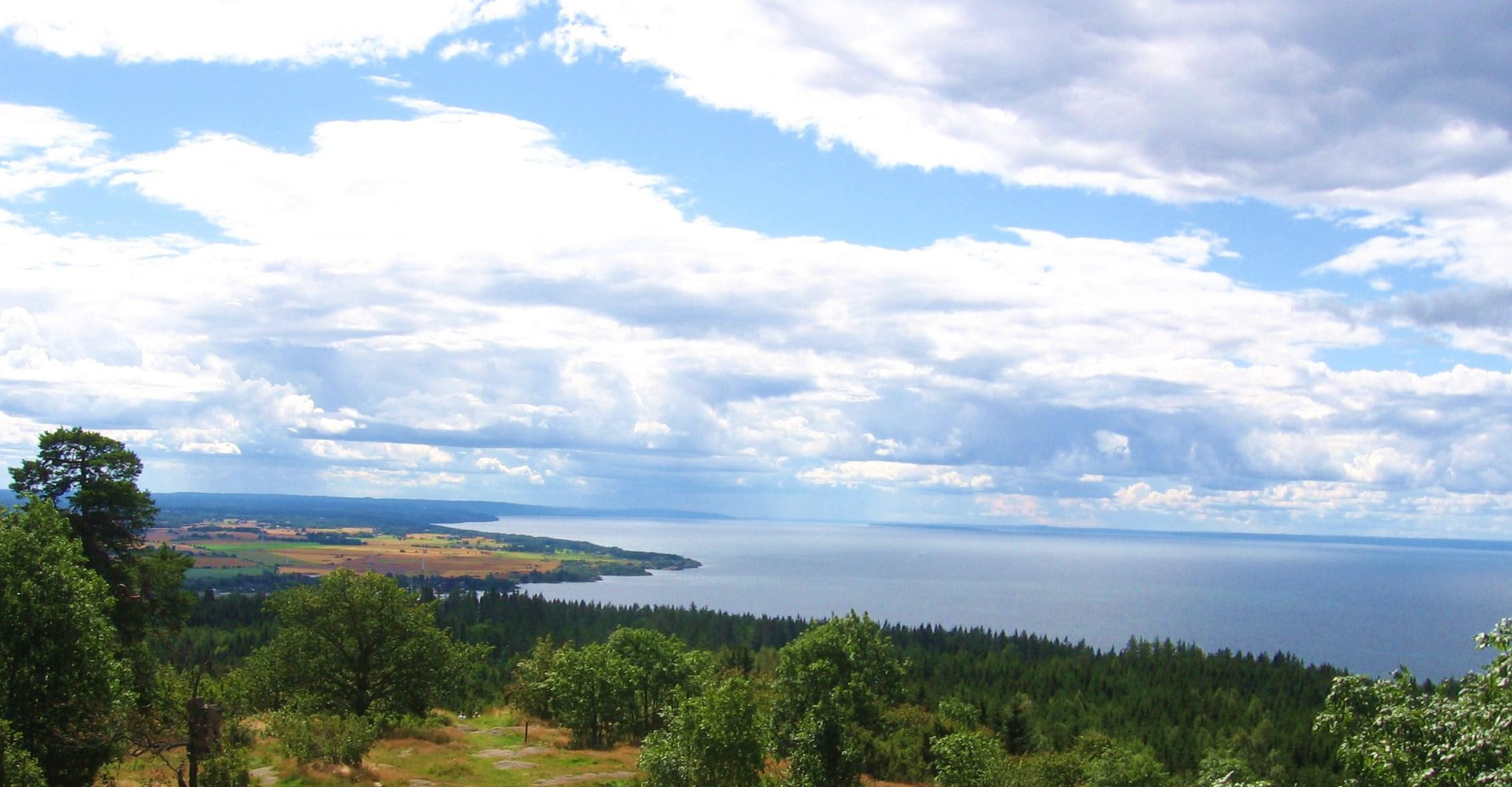 somewere, clouds, green, nature, 3d and abstract, 1080P, landscape, forest, tress, ocean, sweden, HD Wallpaper