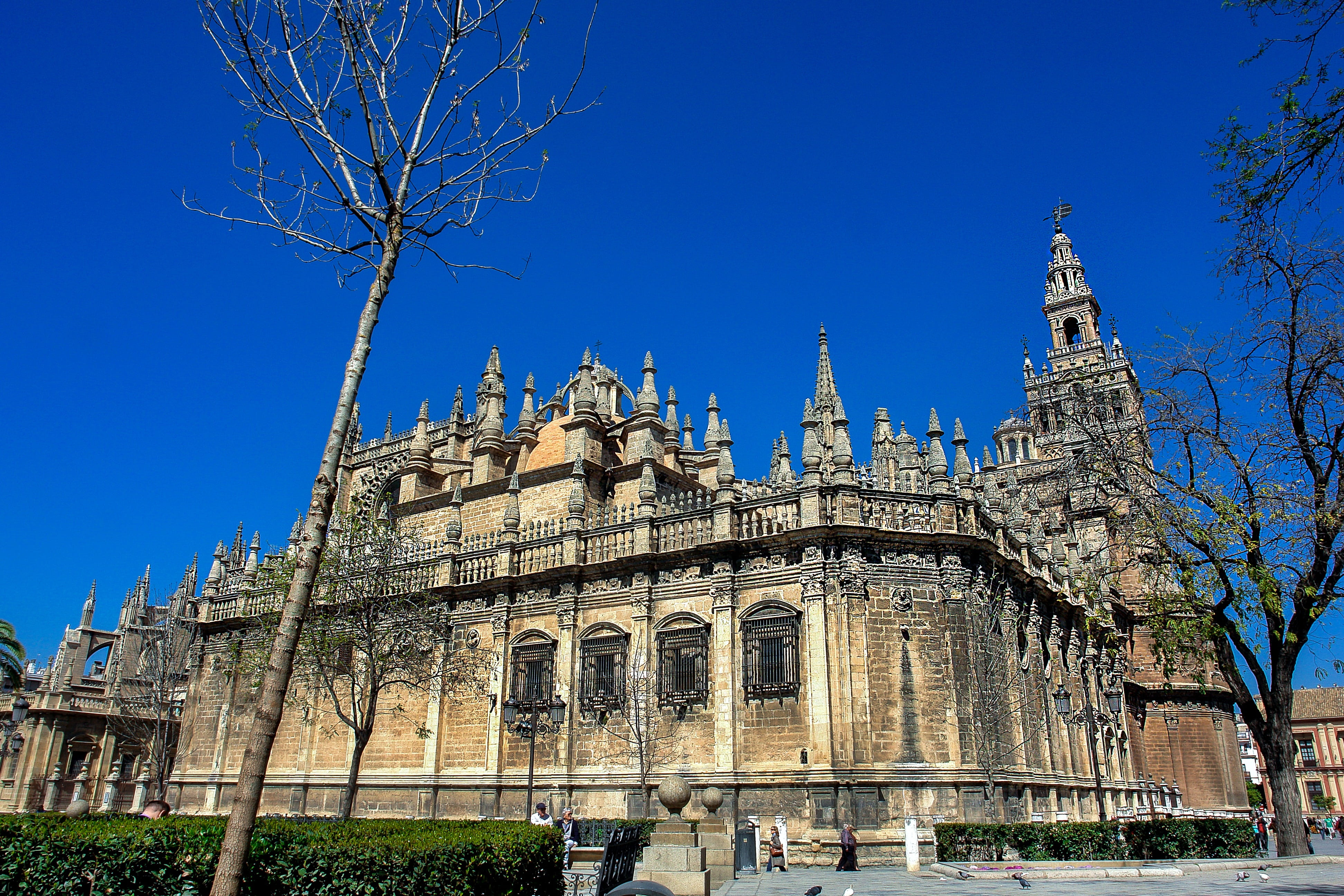 blue, the past, gothic style, concrete, travel, brown, place of worship, near, nature, catholicism, sky, history, mico1996, tress, ornate, travel destinations, HD Wallpaper