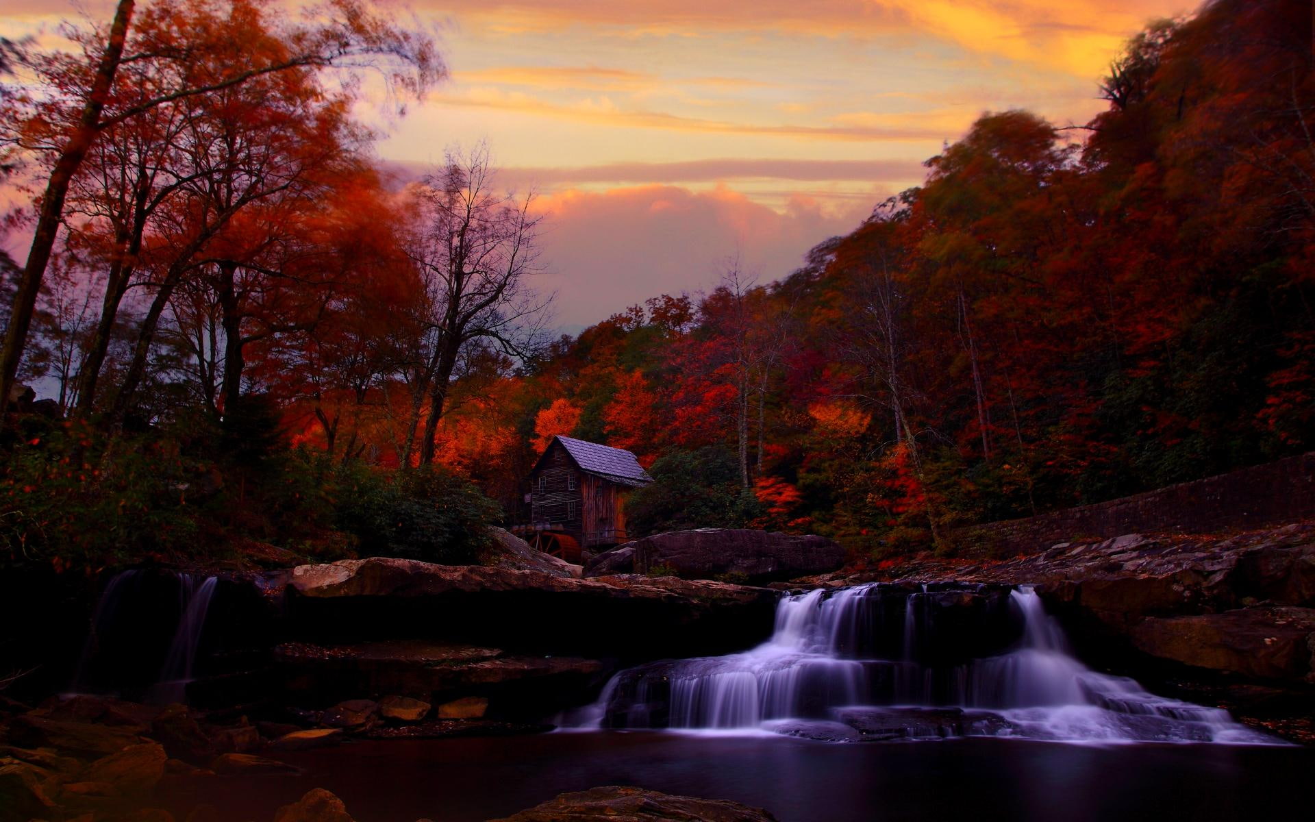waterfalls, small, 1080P, 3d and abstract, foliage, sunset, mill, tress, watefalls, surrounded, fall, HD Wallpaper