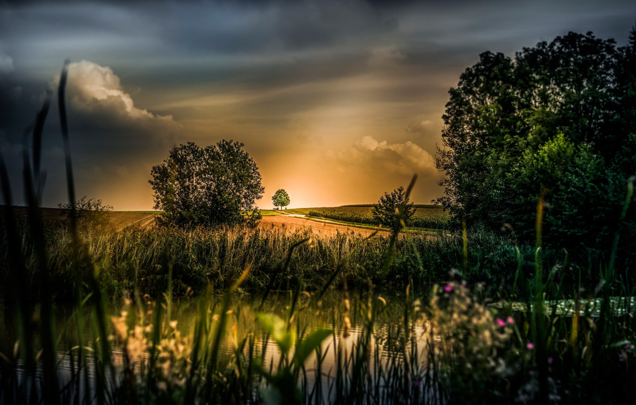 sunset, processing, river, tress, sky, background, trees, 1080P, HD Wallpaper