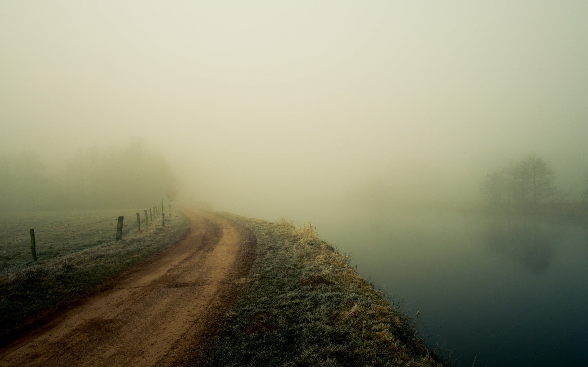 plant, 1080P, cold temperature, smog, brown, outdoors, environment, river, tranquility, no people, pathway, tree, beauty in nature, fog, sand, twilight, HD Wallpaper