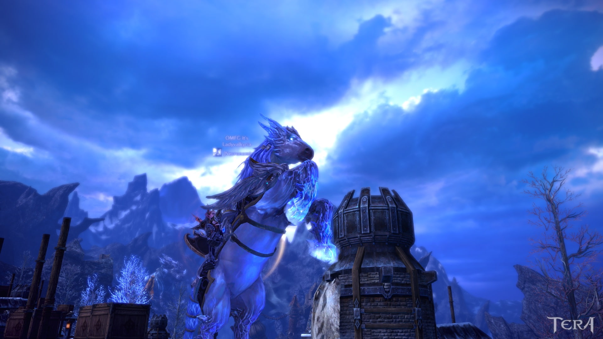 114, fantasy, online, 1080P, adventure, game, tera, HD Wallpaper