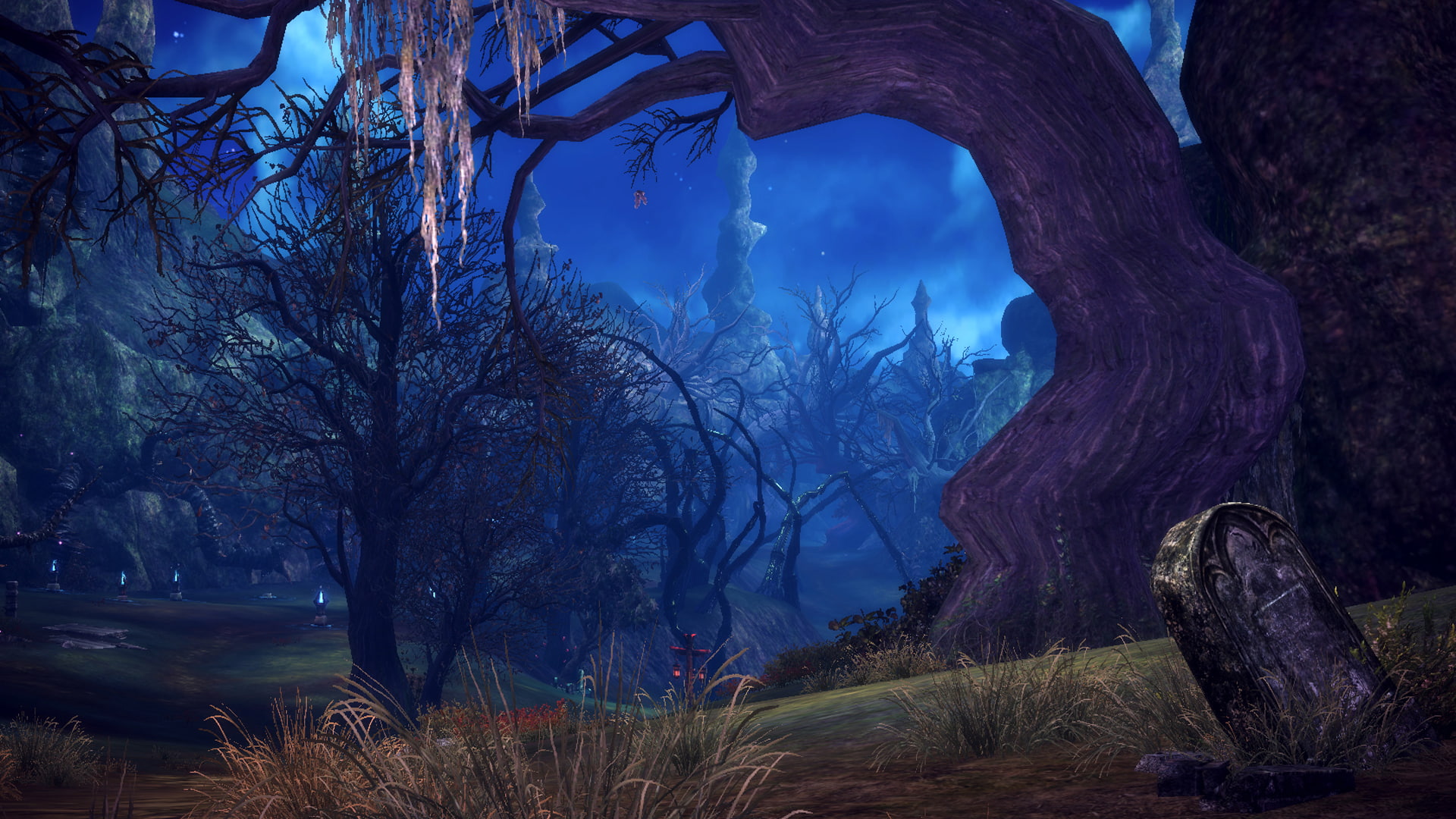 online, game, adventure, fantasy, 137, 1080P, tera, HD Wallpaper