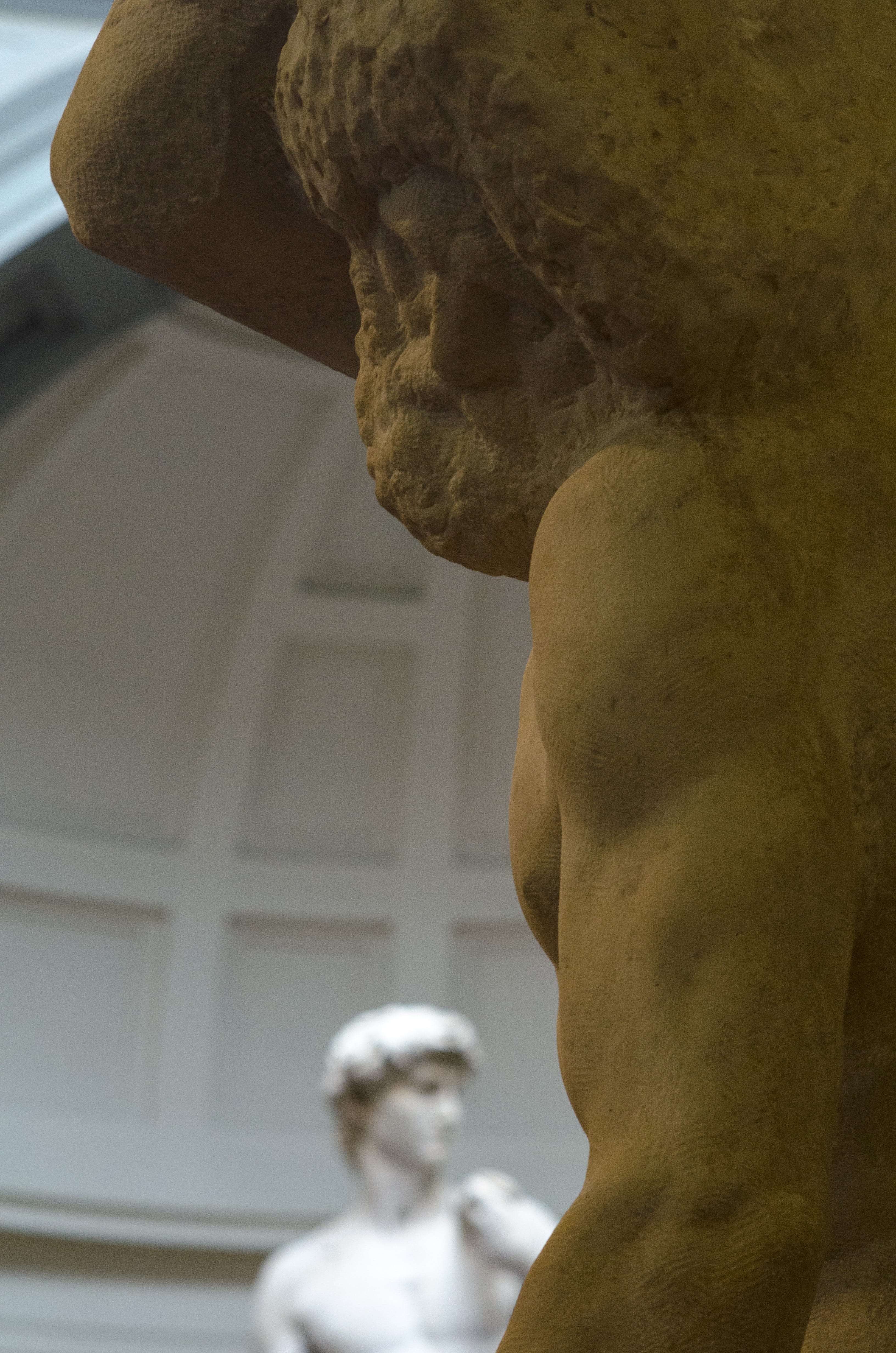 rome - Italy, art, people, history, indoors, david, craft, male likeness, close-up, travel destinations, built structure, low angle view, italy, ceiling, Phone HD Wallpaper