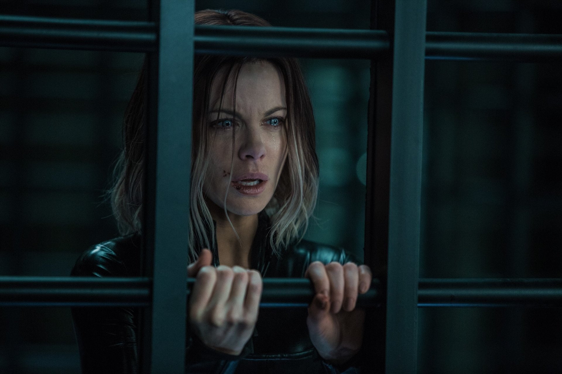 Selene (Underworld), Underworld: Blood Wars, 1080P, Movie, Kate Beckinsale, HD Wallpaper