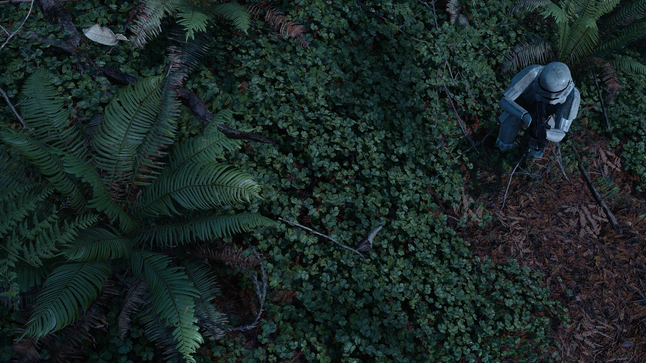 full length, plant, real people, leisure activity, 2K, fern, growth, high angle view, outdoors, Star Wars, leaf, tree, green color, men, stormtrooper, HD Wallpaper