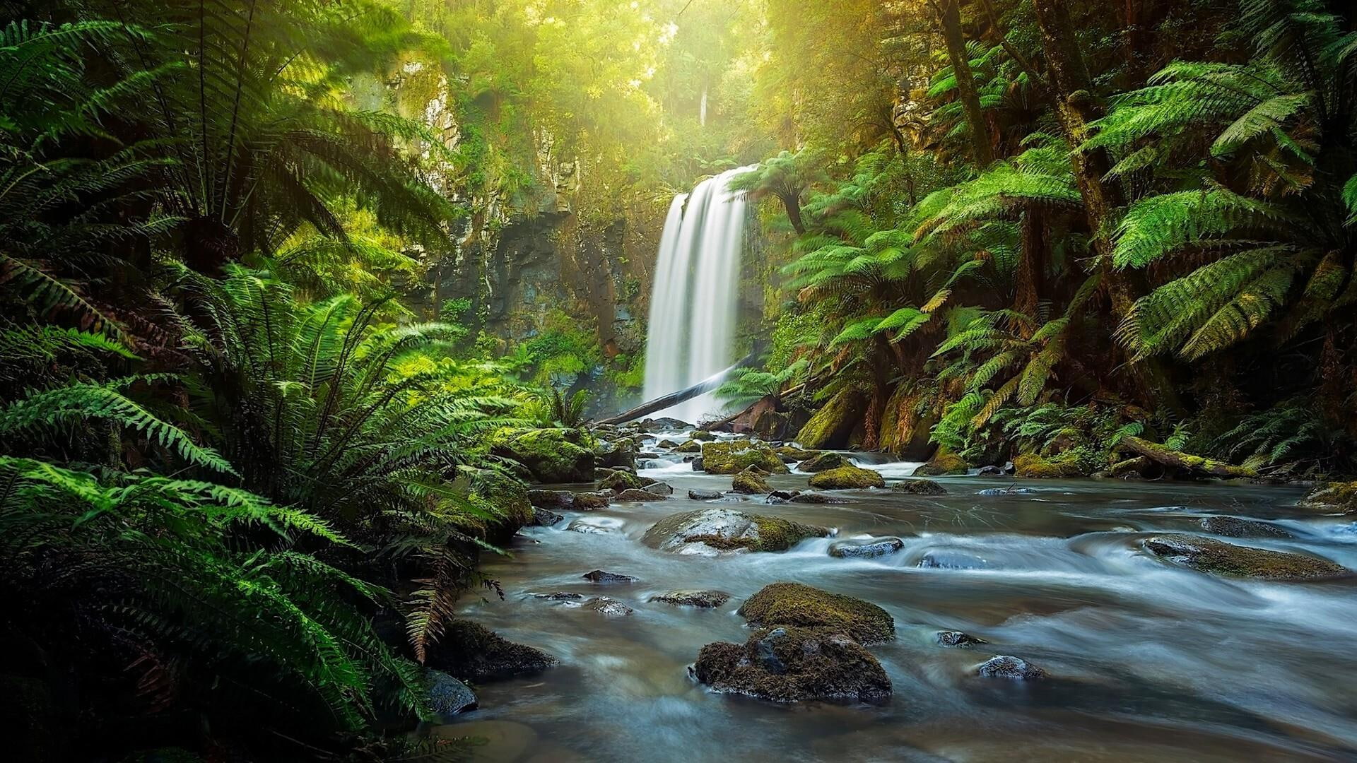 great otway national park, waterfall, national park, australia, 1080P, HD Wallpaper