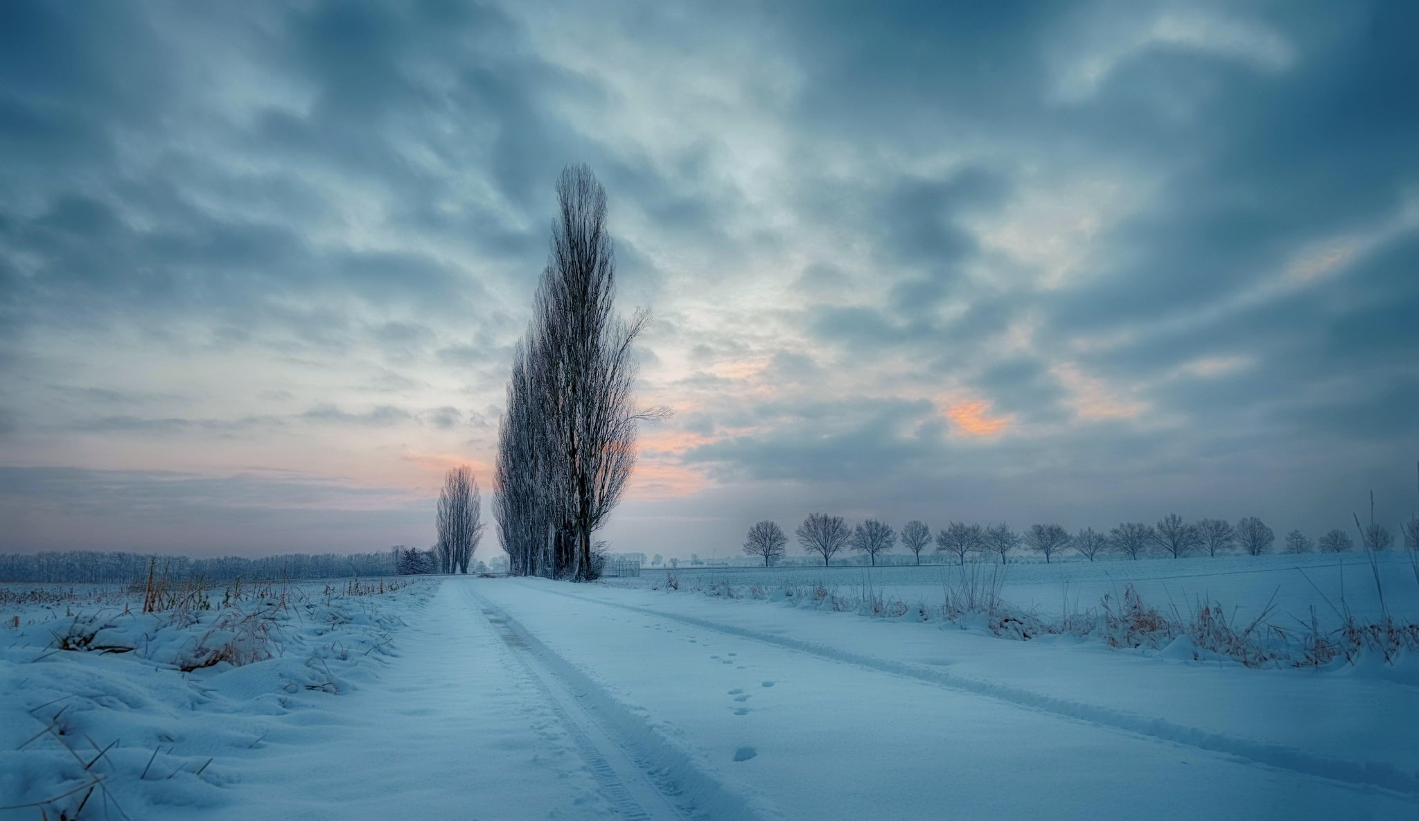 calm, extreme weather, non-urban scene, beauty in nature, bush, snow, no people, clouds, winter, scenics - nature, nature, 1080P, trees, tree, landscape, HD Wallpaper