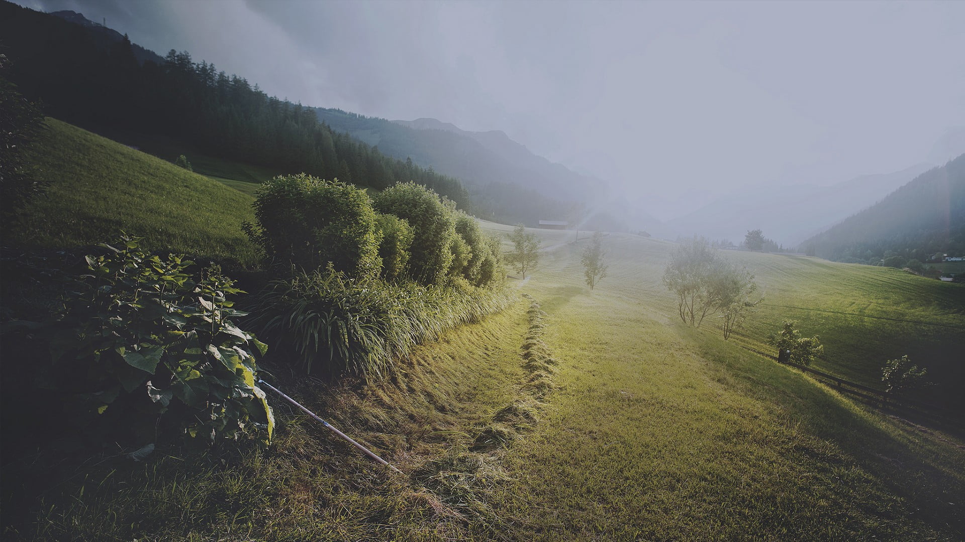 grass, green color, tree, lot, land, outdoors, environment, trail, non-urban scene, green, 1080P, nature, plant, mountain, sky, landscape, bush, day, fog, HD Wallpaper