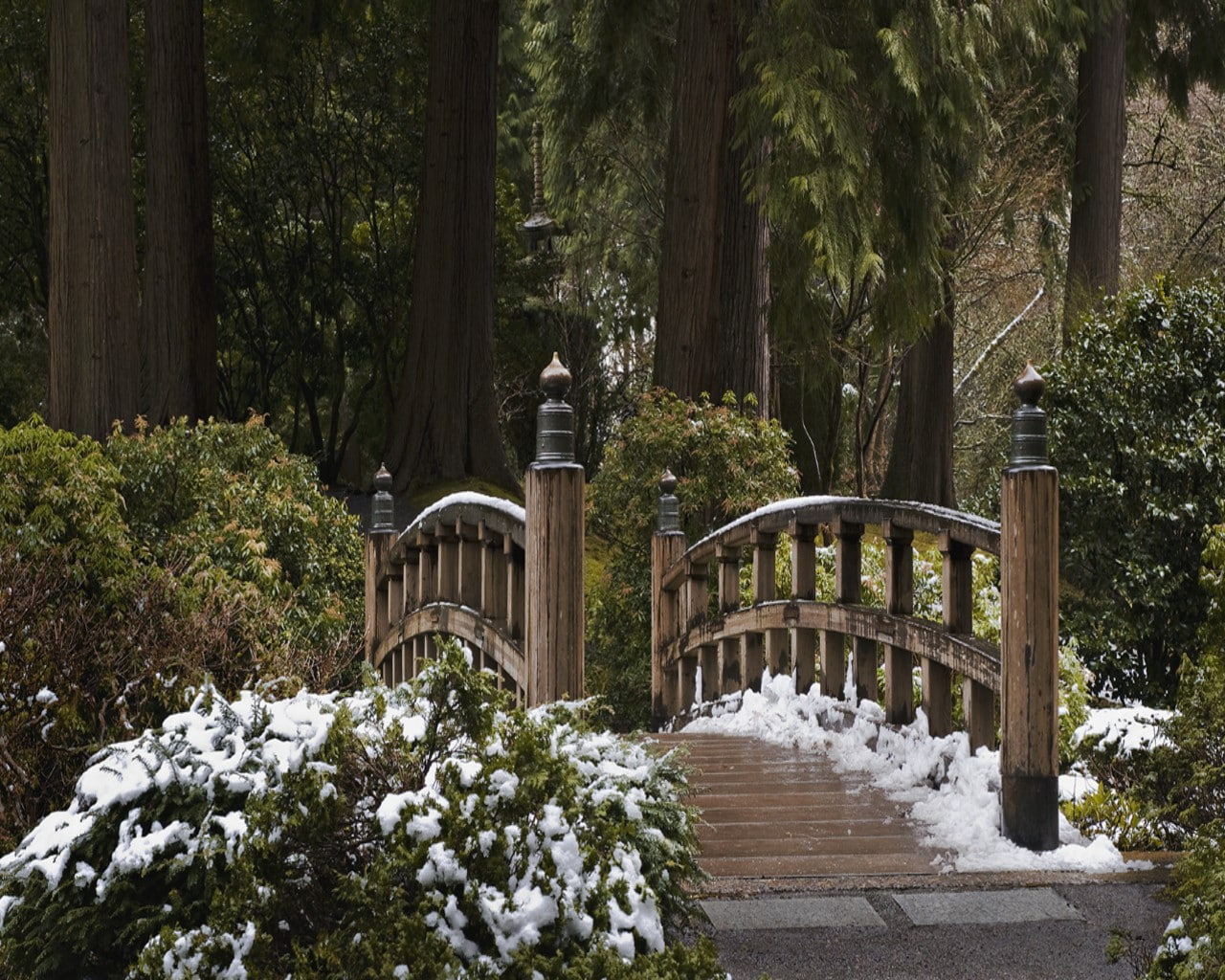 bridge, Bushes, 720P, trees, snow, HD Wallpaper
