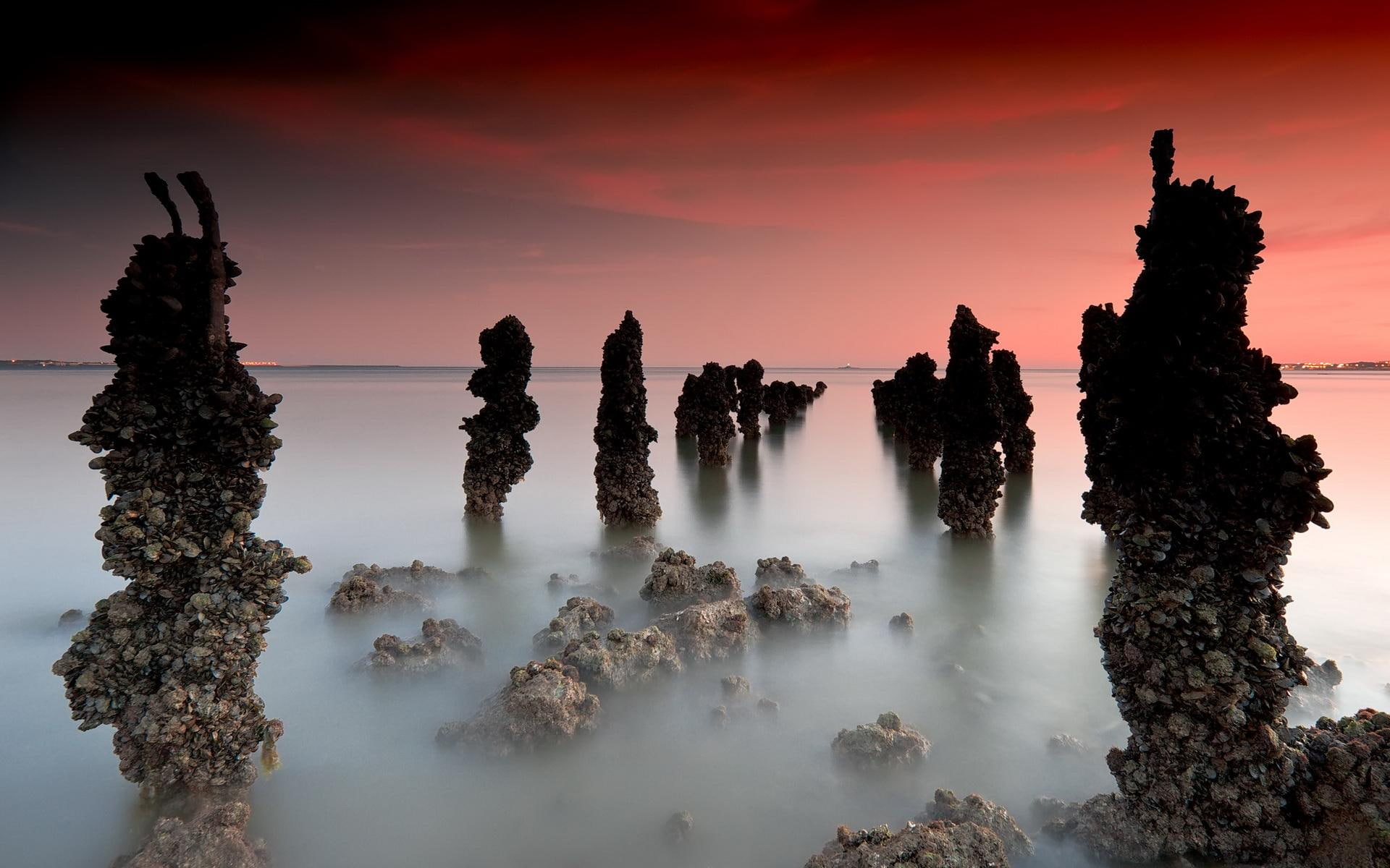stones, mist, photoshop, shellfish, landscapes, water, beije, 1080P, nice, sea, picture, white, magenta, HD Wallpaper