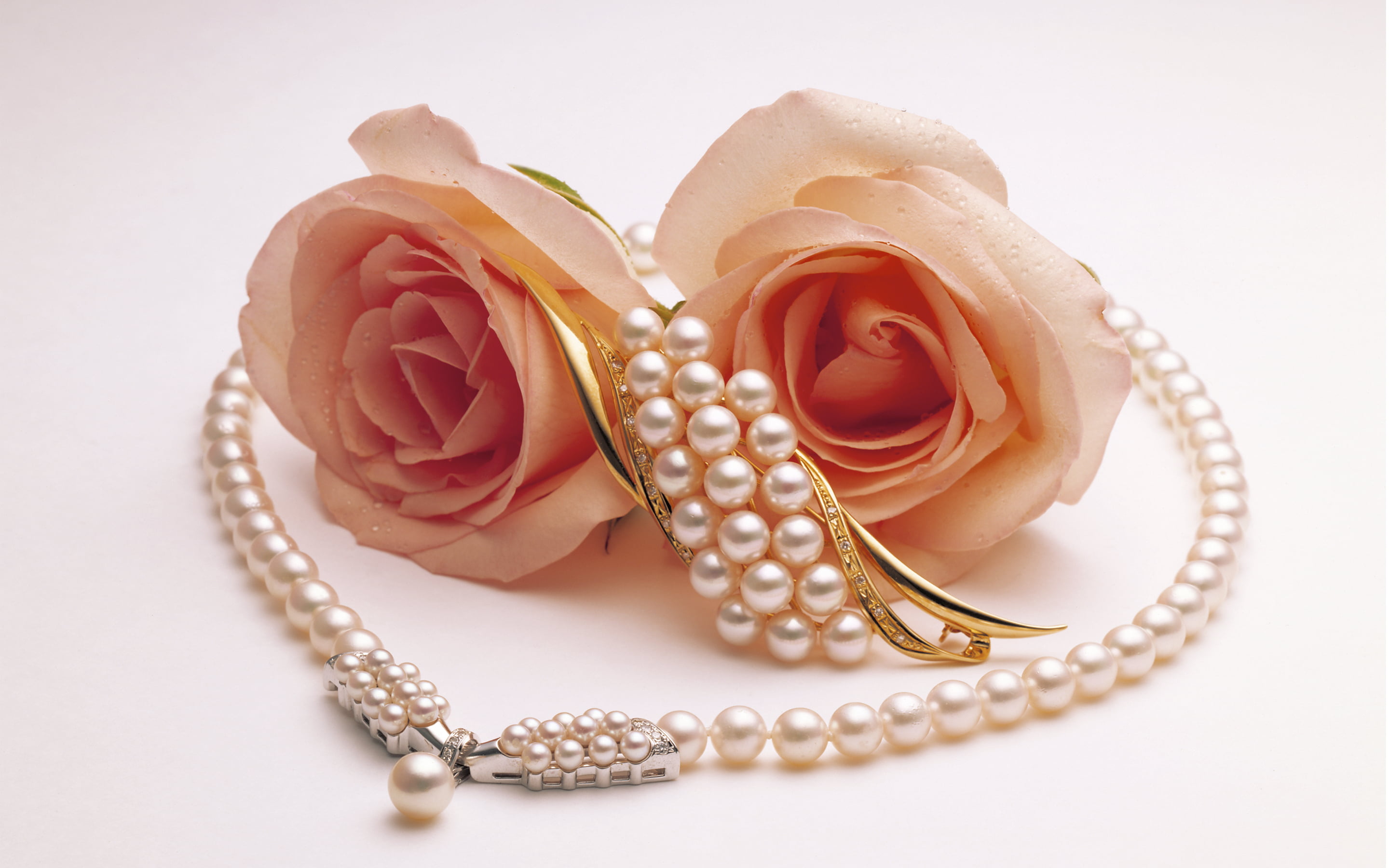 glamour, isolated, personal Accessory, valentines day - holiday, bride, ornate, single Object, beauty, no people, diamond, rose, brooch, Two, white, elegance, HD Wallpaper