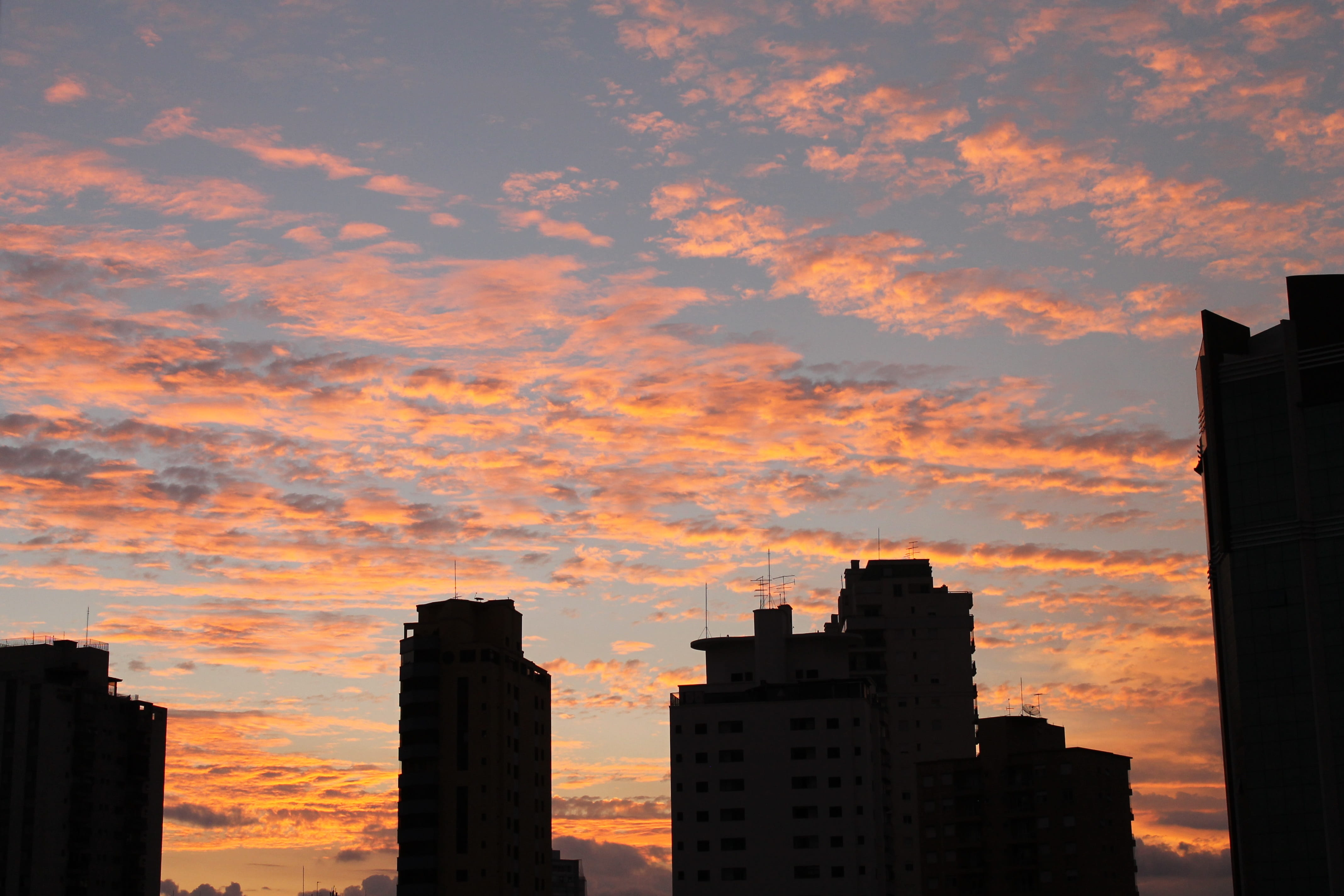 sky, orange color, eventide, city, beauty in nature, tall - high, cloud - sky, building exterior, residential district, office building exterior, silhouette, HD Wallpaper