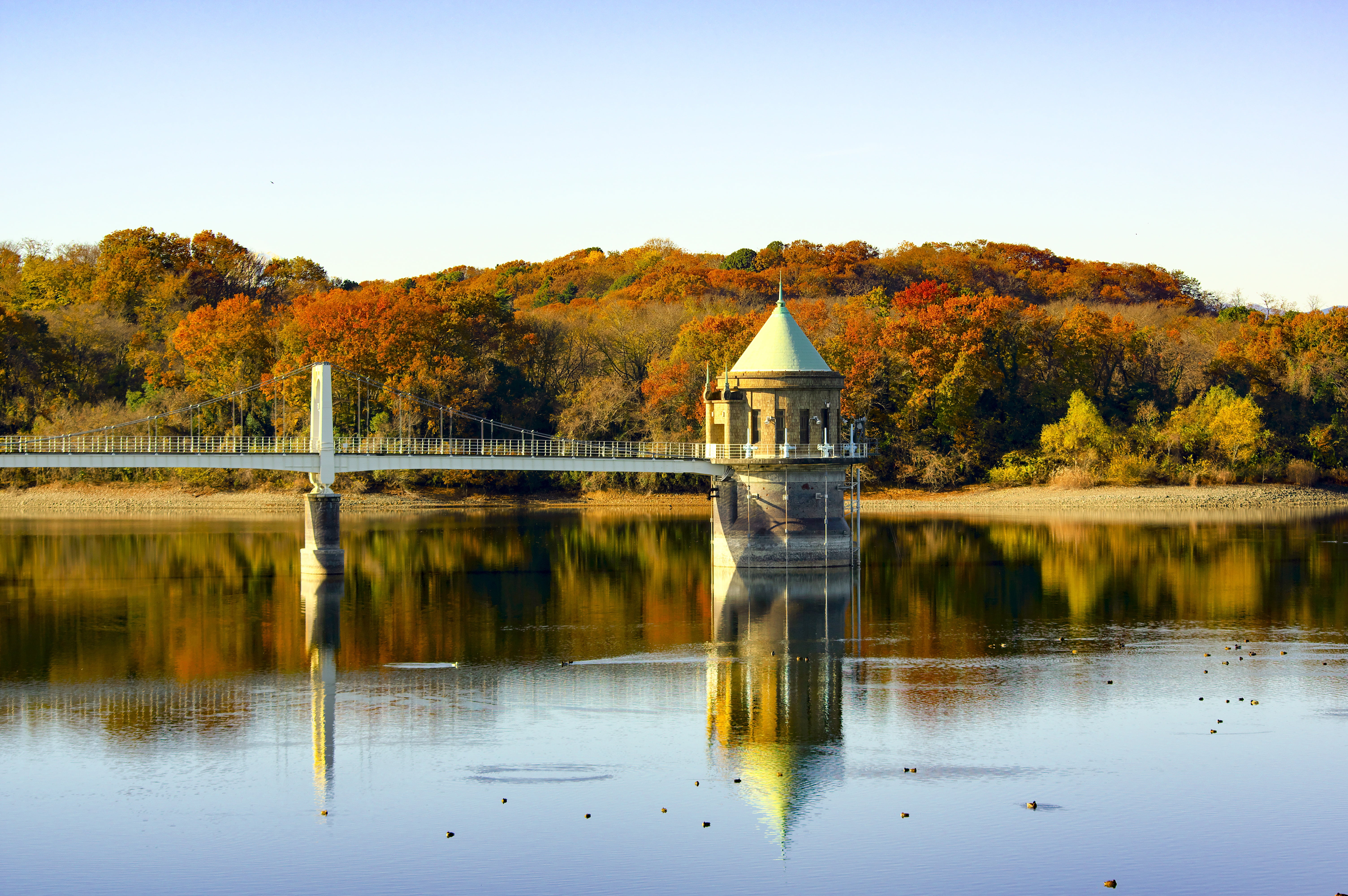 water, autumn, autumnal leaves, sky, change, sayama hill, reflection, architecture, reservoir, intake tower, japan, nature, landscape, lake, no people, HD Wallpaper