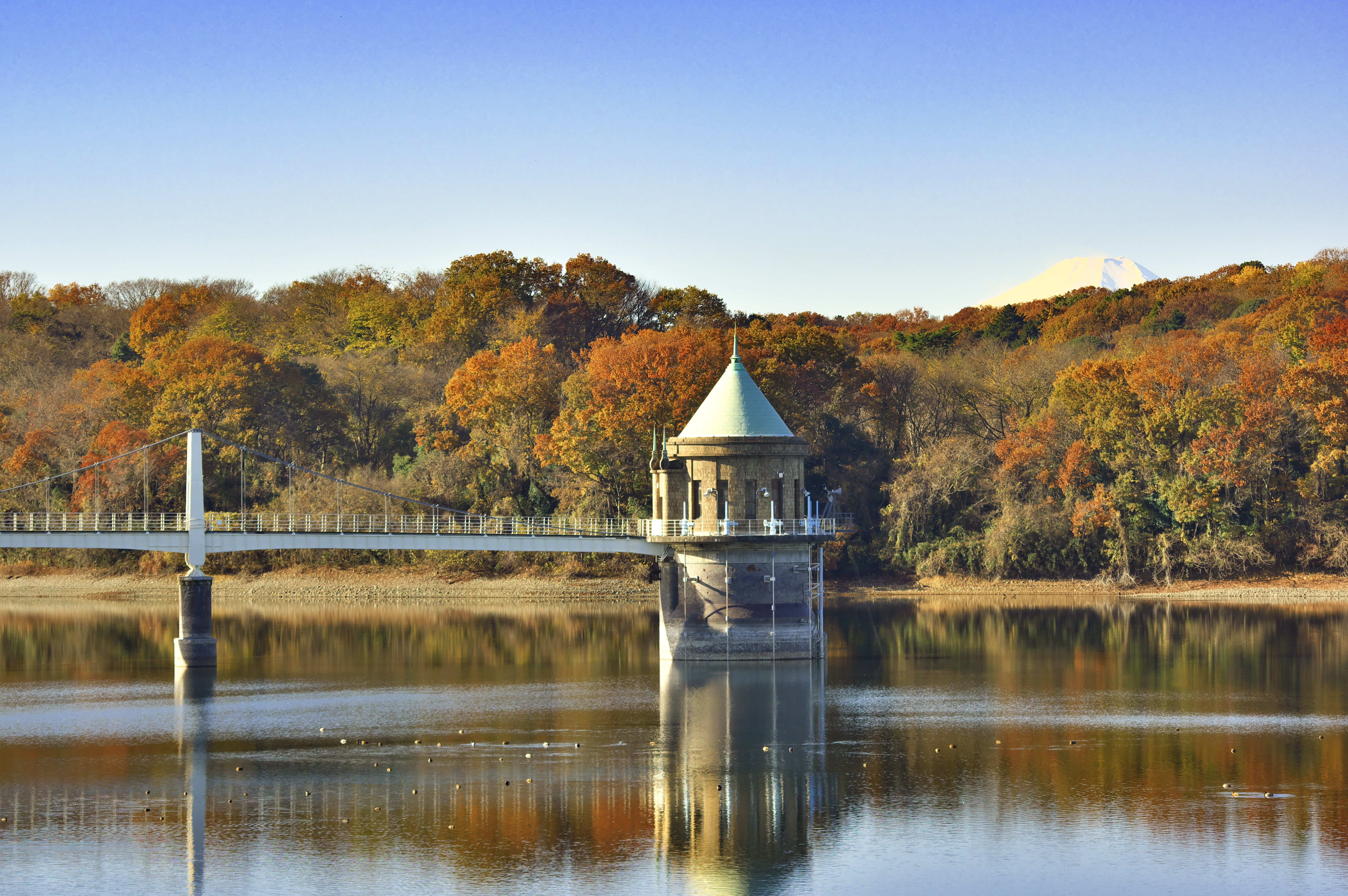 no people, reflection, change, 5K, lake, sayama lake, autumnal leaves, tranquil scene, intake tower, natural, clear sky, nature, forest, autumn, beauty in nature, HD Wallpaper