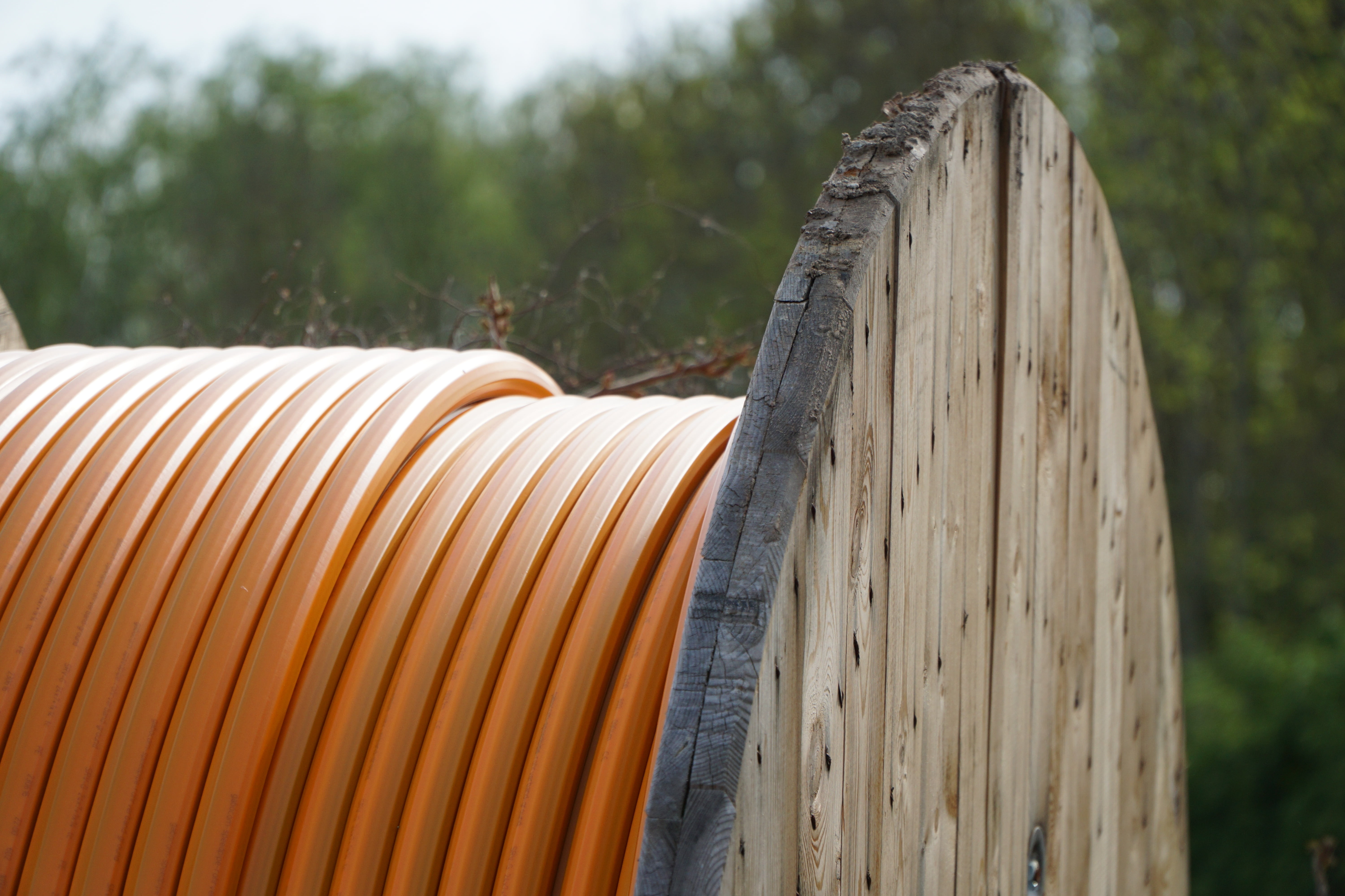 role, 5K, focus on foreground, wood, field, barrel, nature, cable reel, pattern, plant, civil engineering, close-up, outdoors, orange, tranquility, textile, HD Wallpaper