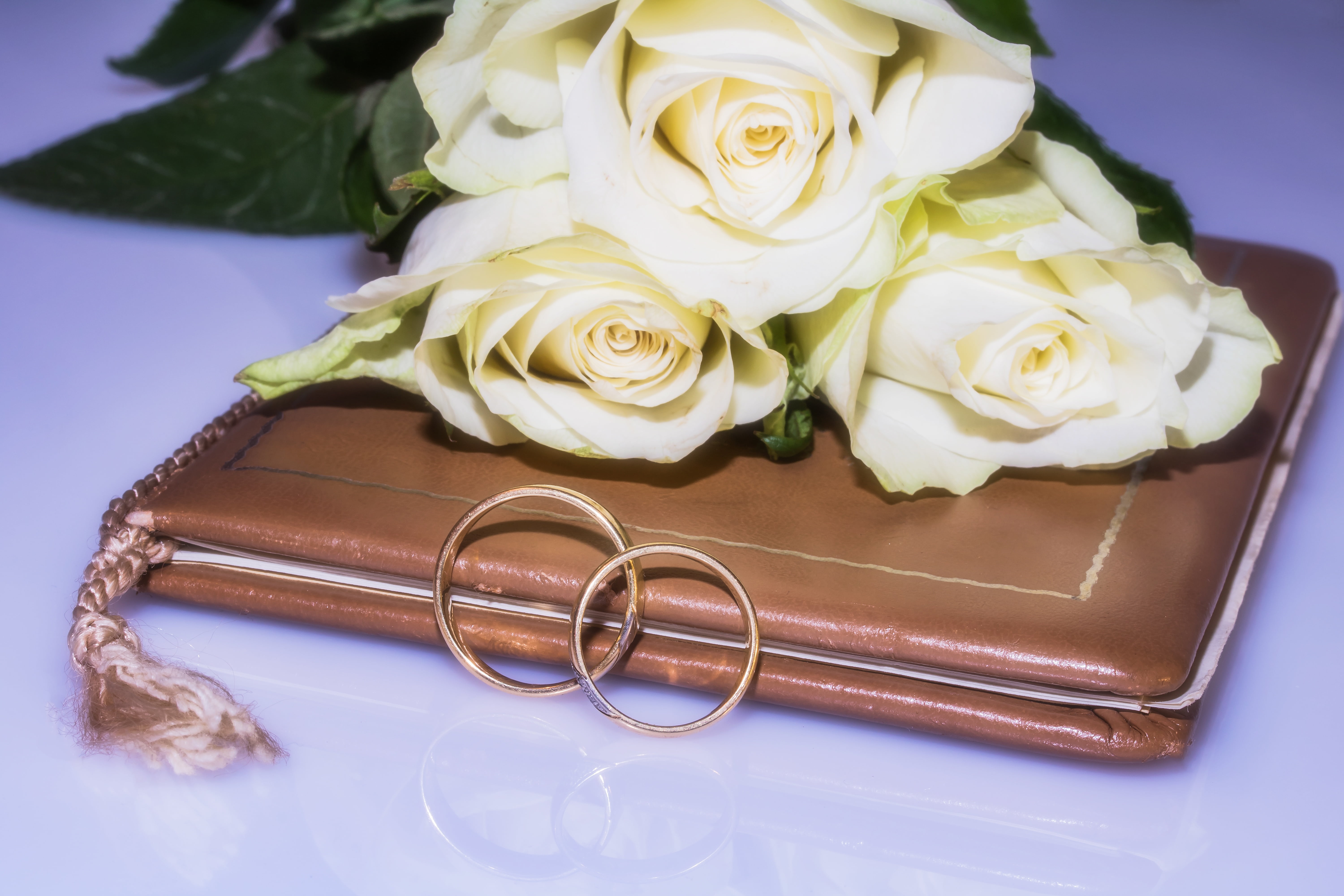 golden rings, marriage book, jewellery, scratches on rings, celebration, bouquet, temptation, beauty in nature, vulnerability, wedding rings, civil wedding, HD Wallpaper