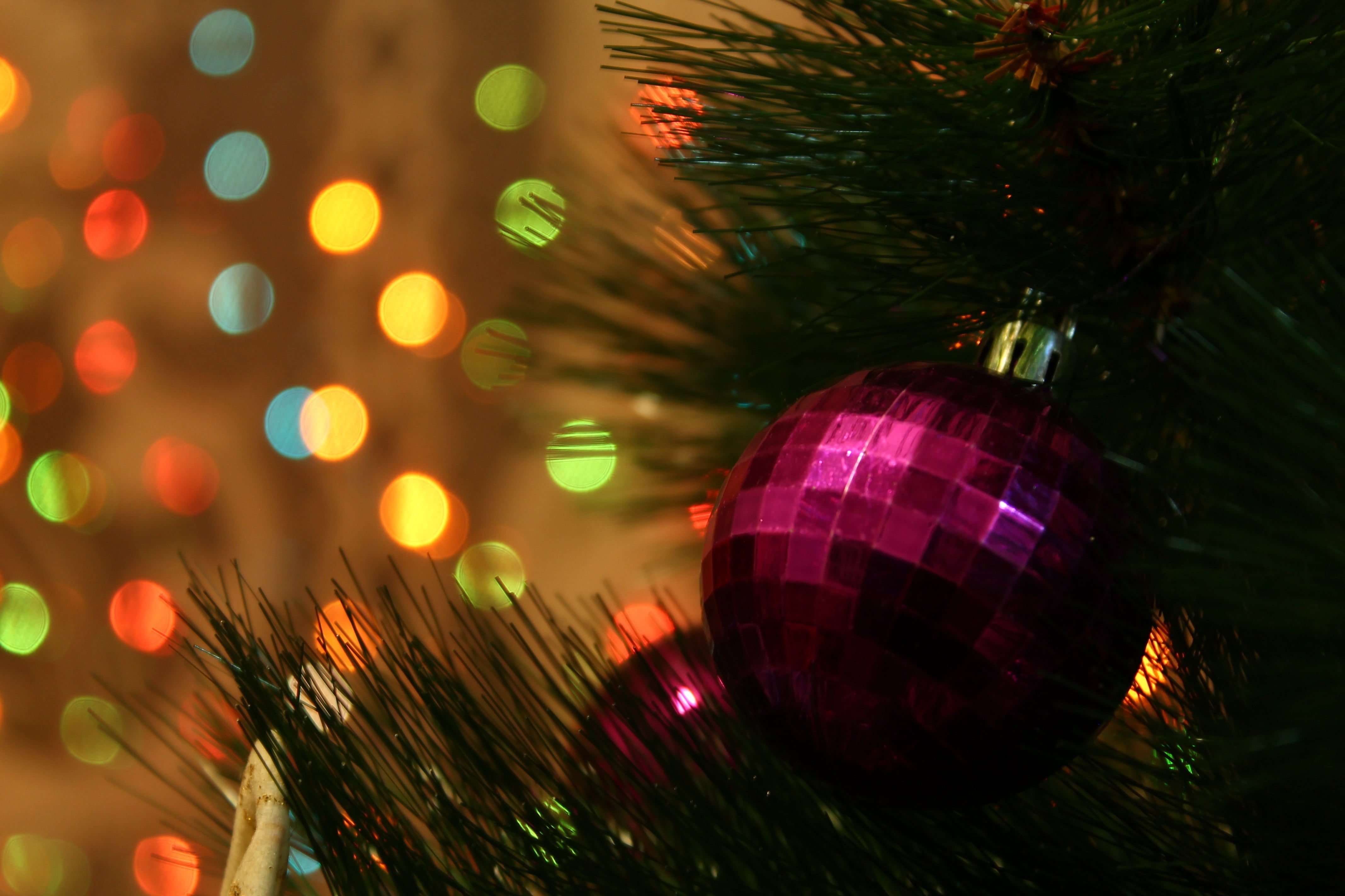 christmas ornament, illuminated, pine trees, christmas decoration, no people, holiday - event, close-up, celebration, night, red, baubles, sphere, nightlife, HD Wallpaper