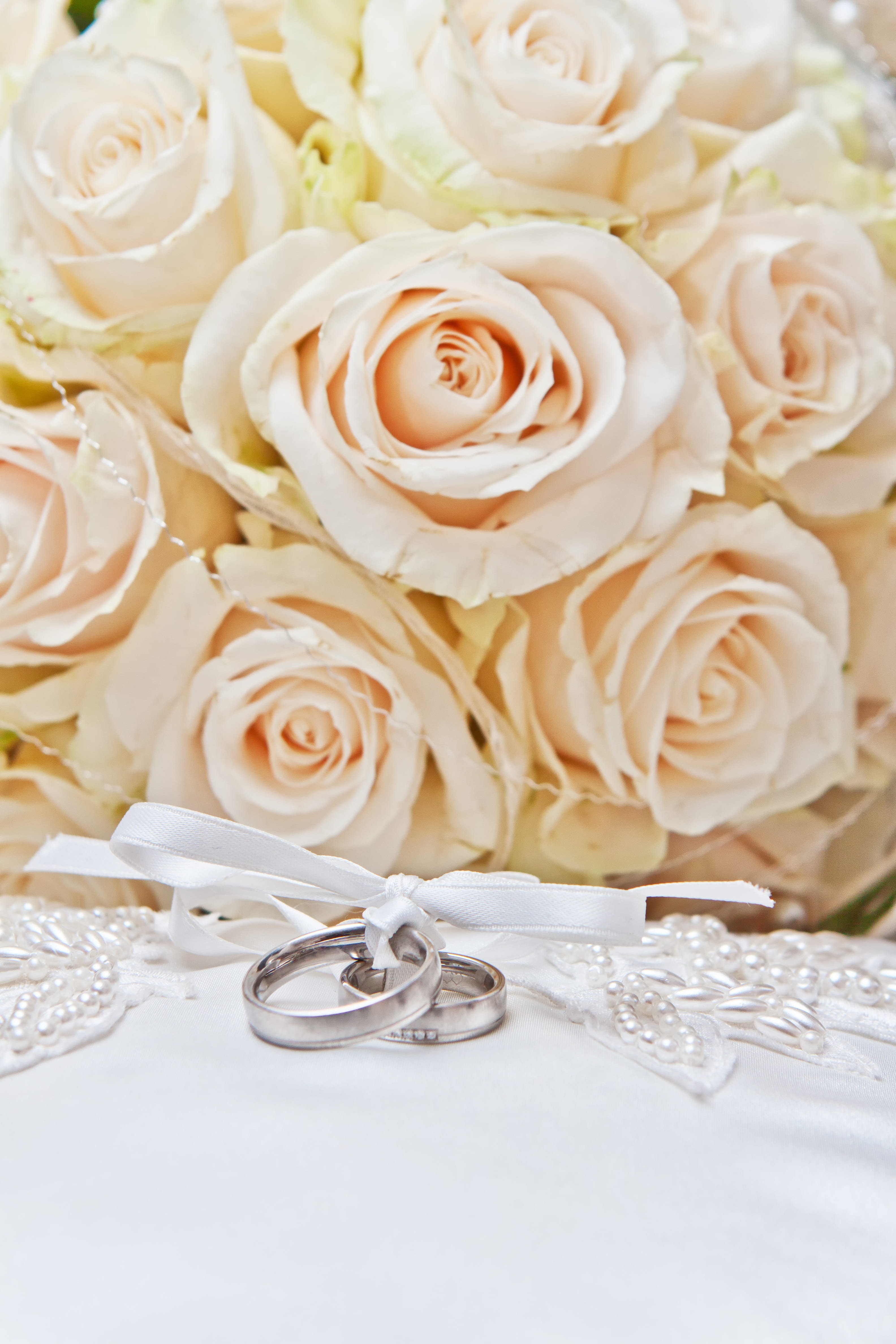 petal, rings, marry, celebration, colored, no people, flower arrangement, deco, flower, white, close-up, flowering plant, before, rose, plant, flower head, Phone HD Wallpaper