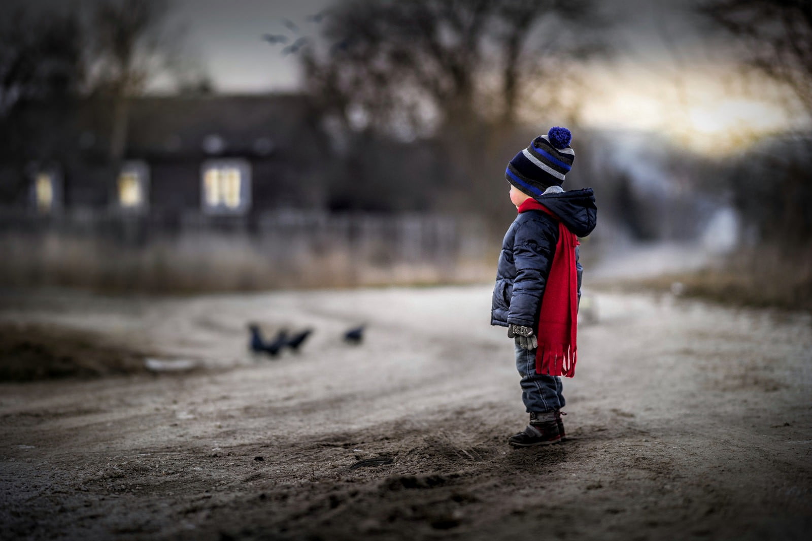 nature, rubber boot, 720P, outdoors, baby, polo, warm clothing, black, blurred, s, males, shirt, men, full length, clothing, innocence, snow, tree, childhood, HD Wallpaper