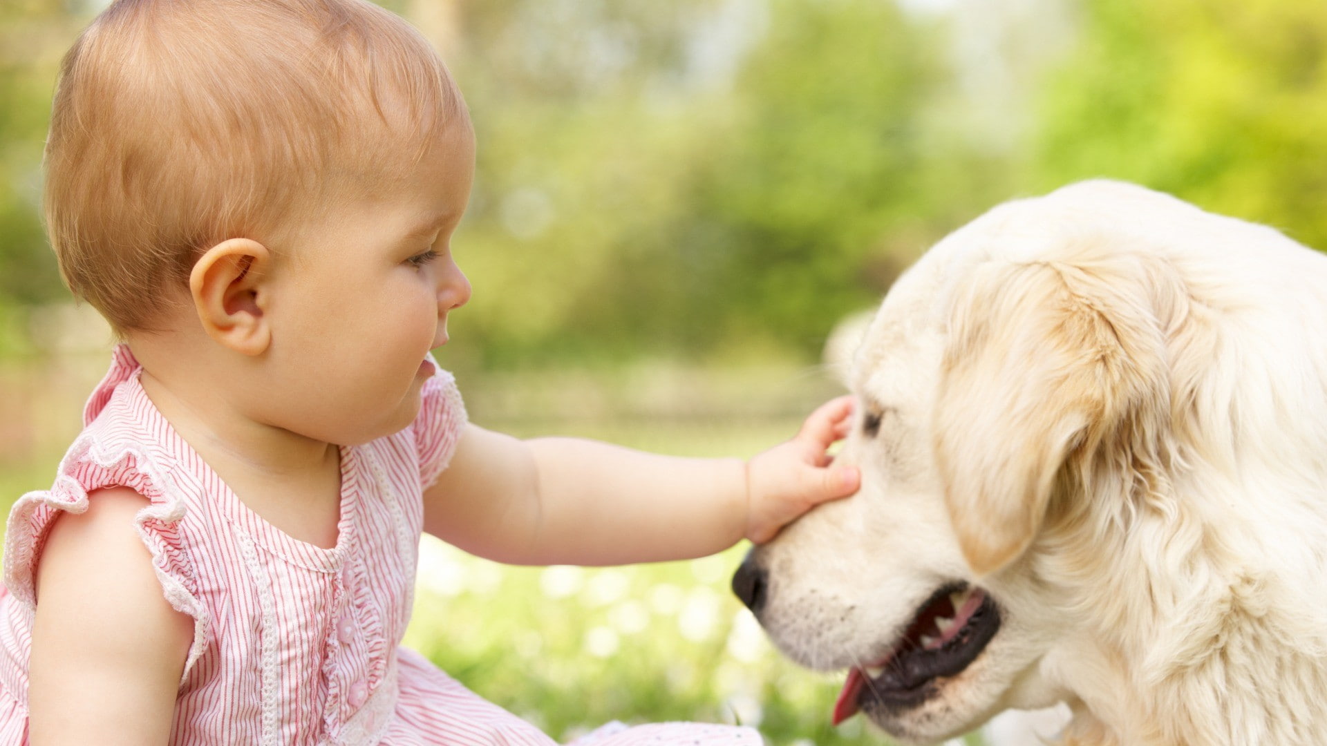 friendship, domestic animals, animal themes, care, hair, dog, canine, pets, baby, animals, bonding, cute, positive emotion, children, child, emotion, mammal, HD Wallpaper