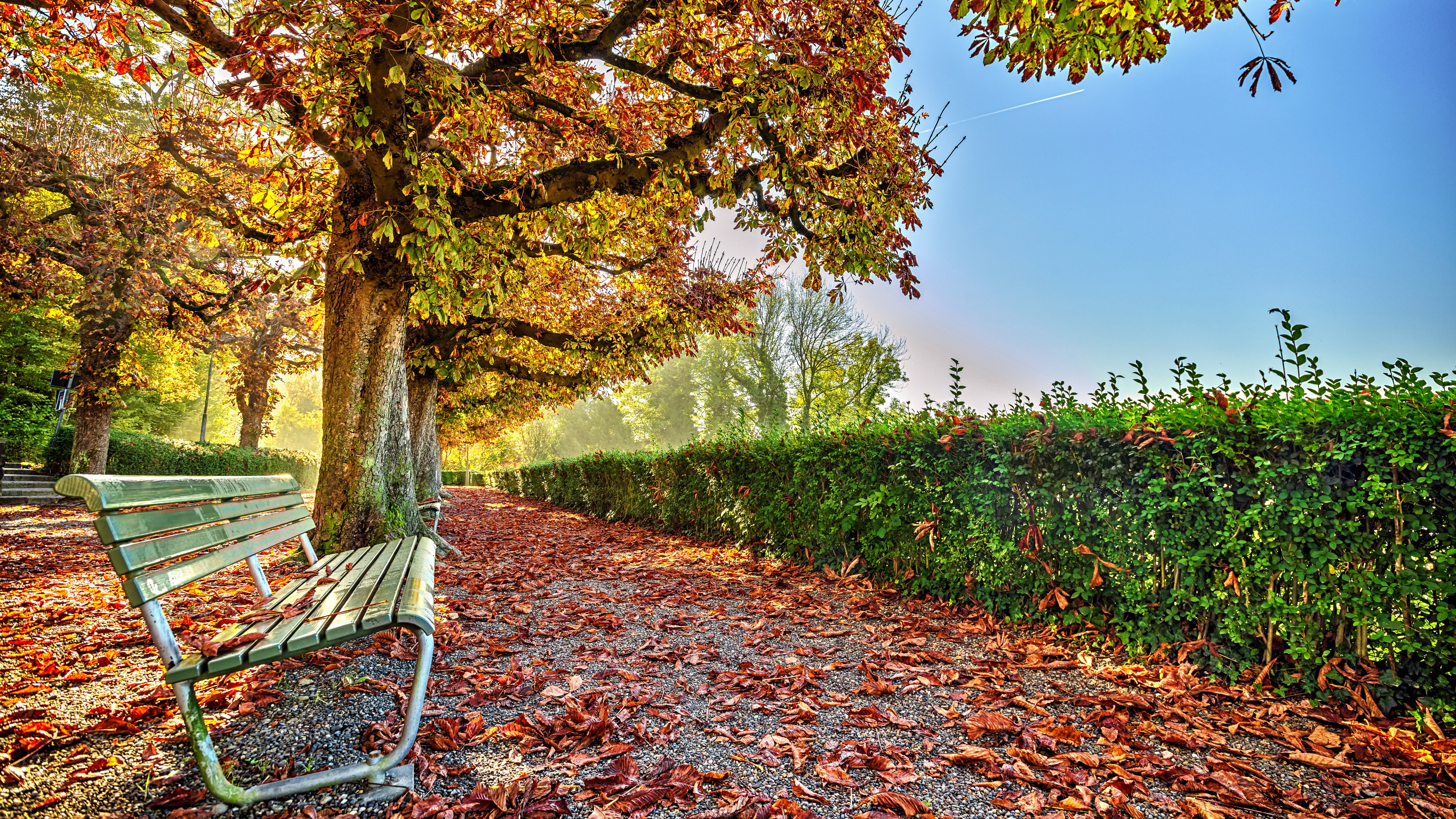 hd desktop  nature  7680x4320, 8K, HD Wallpaper