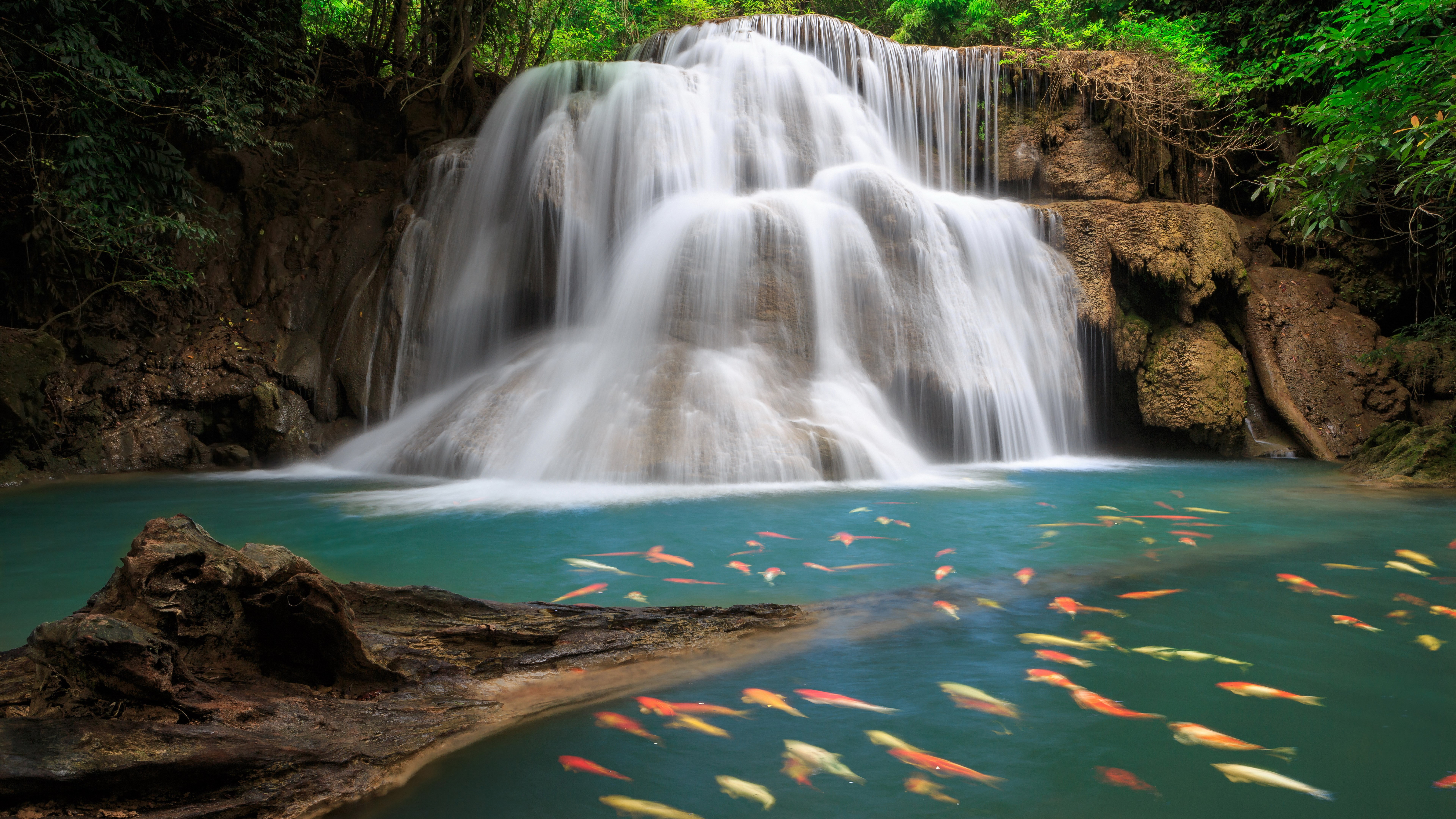 top nature scenery pics 7680x4320, 8K, HD Wallpaper