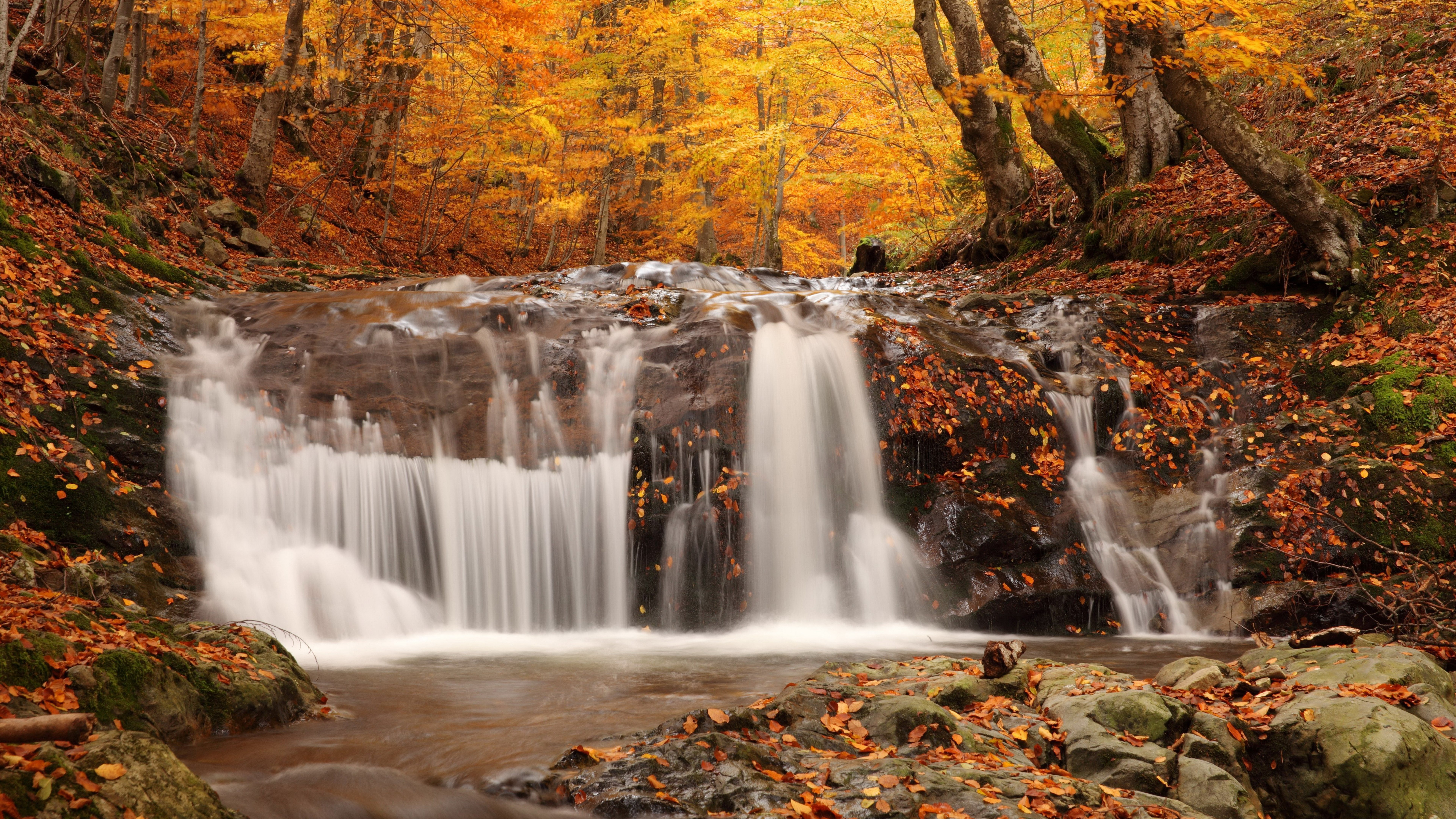 8K, top nature scenery pics 7680x4320, HD Wallpaper