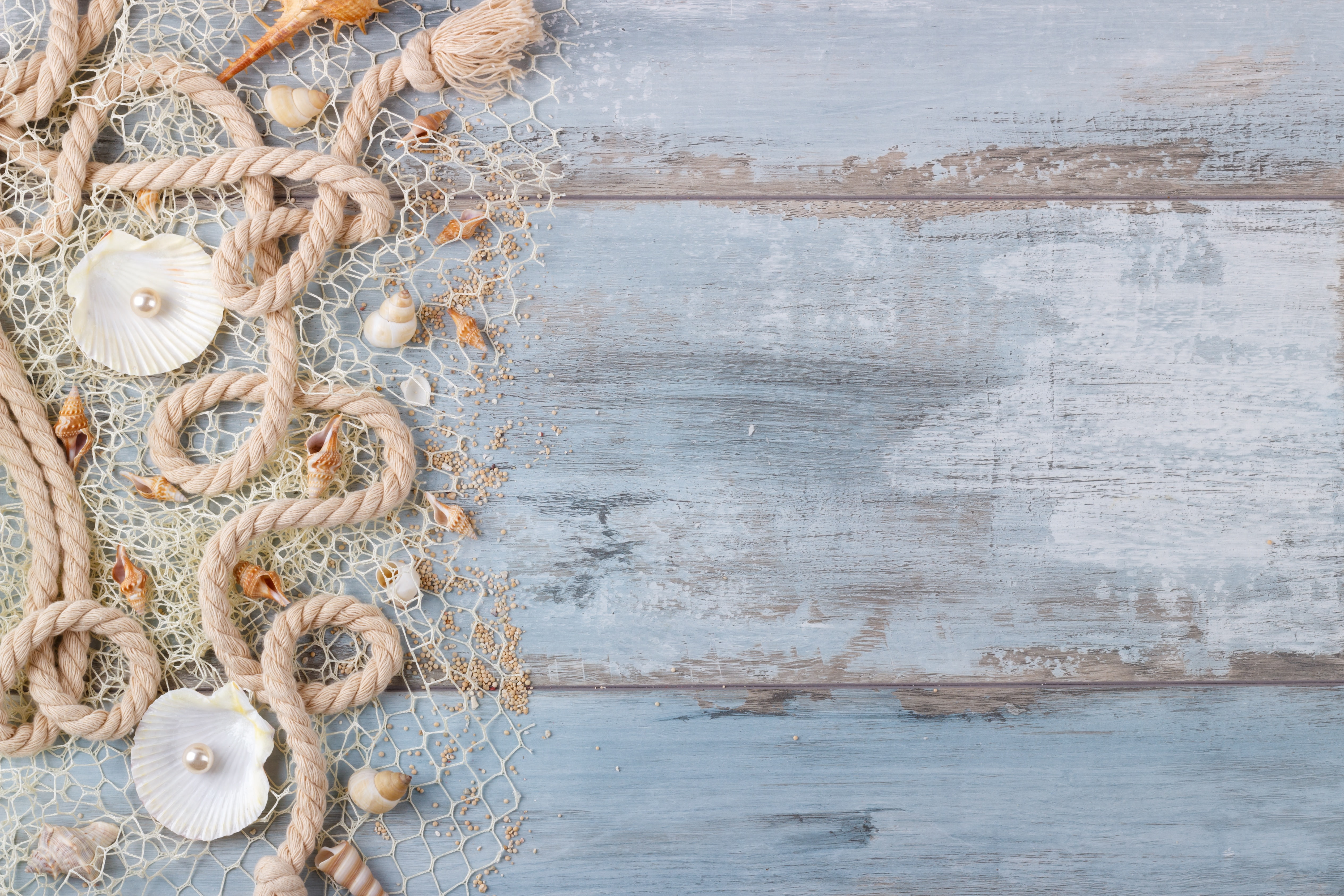 seashells, perl, wood, sand, still life, shell, pearl, 4K, marine, HD Wallpaper