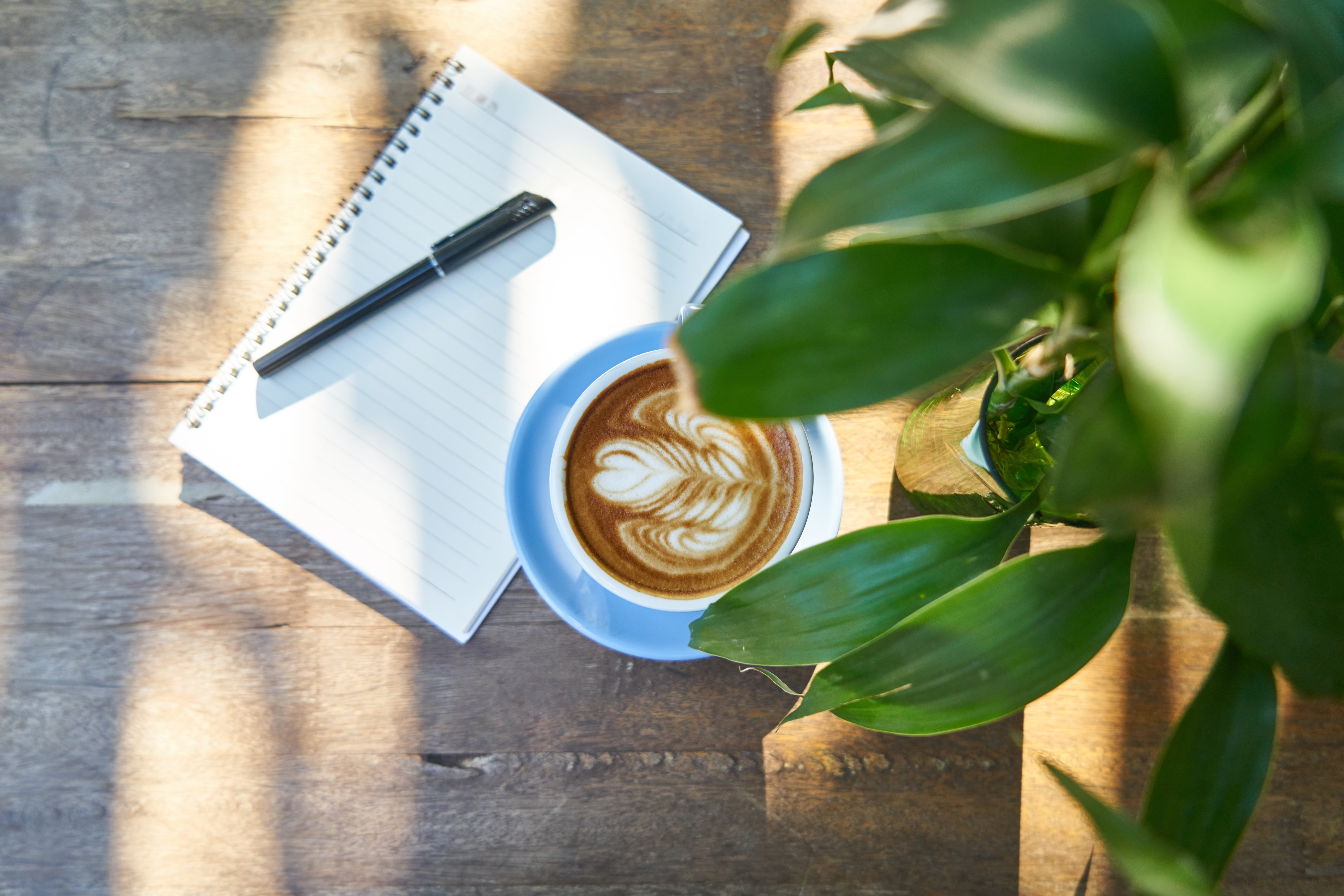 still life, coffee cup, no people, mug, food and drink, refreshment, espresso, b add, nature, photo, drink, directly above, close-up, paper, page, wood, HD Wallpaper