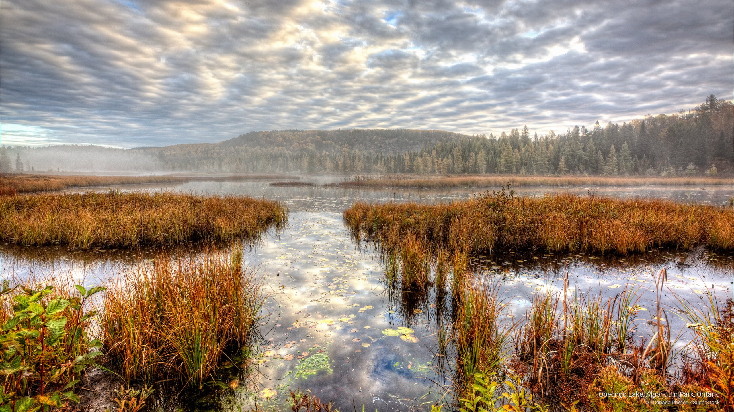 park, 2K, algonquin, ontario, Fall, opeongo, lake, HD Wallpaper