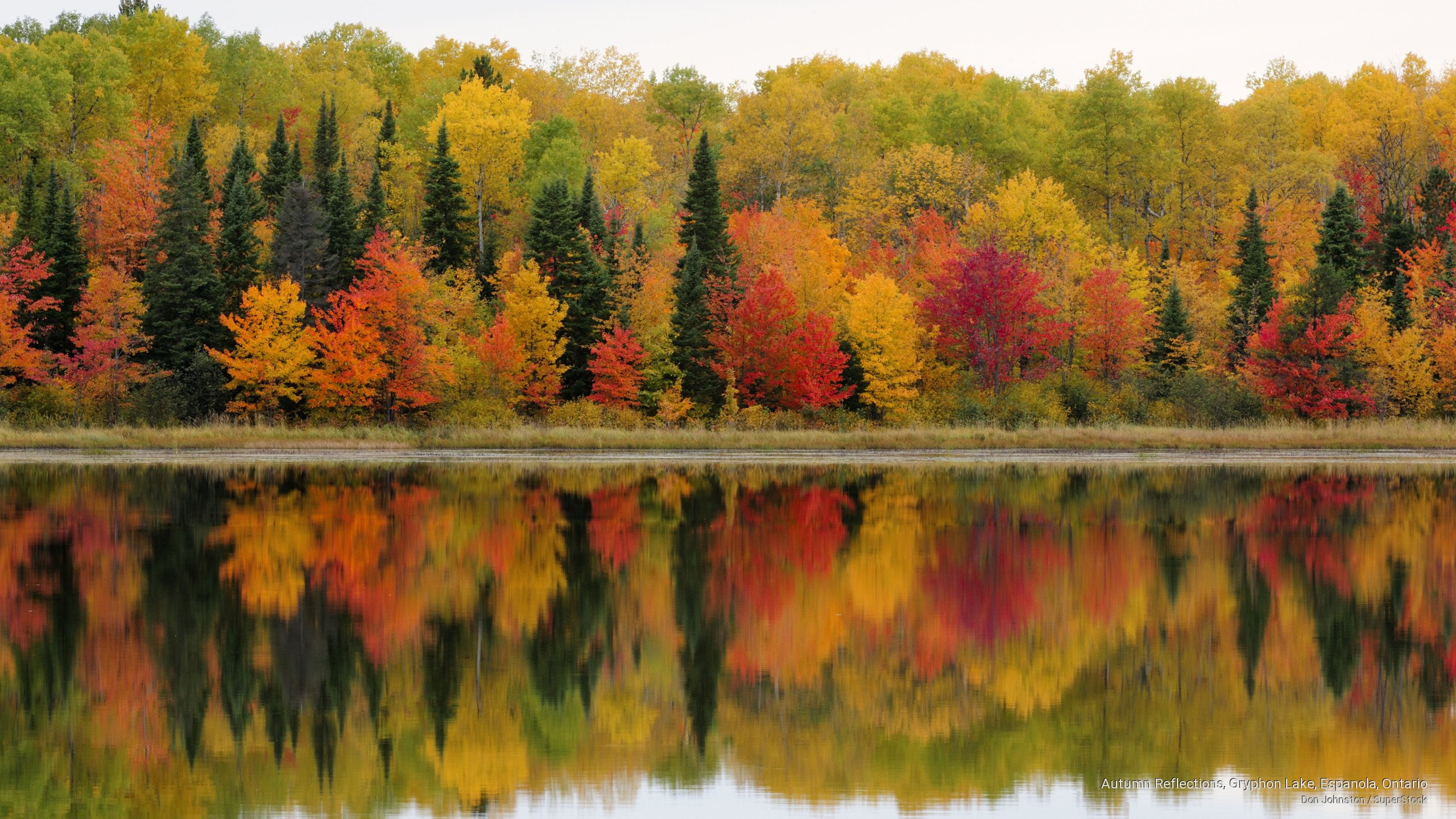 2K, autumn, North America, gryphon, lake, reflections, ontario, espanola, HD Wallpaper