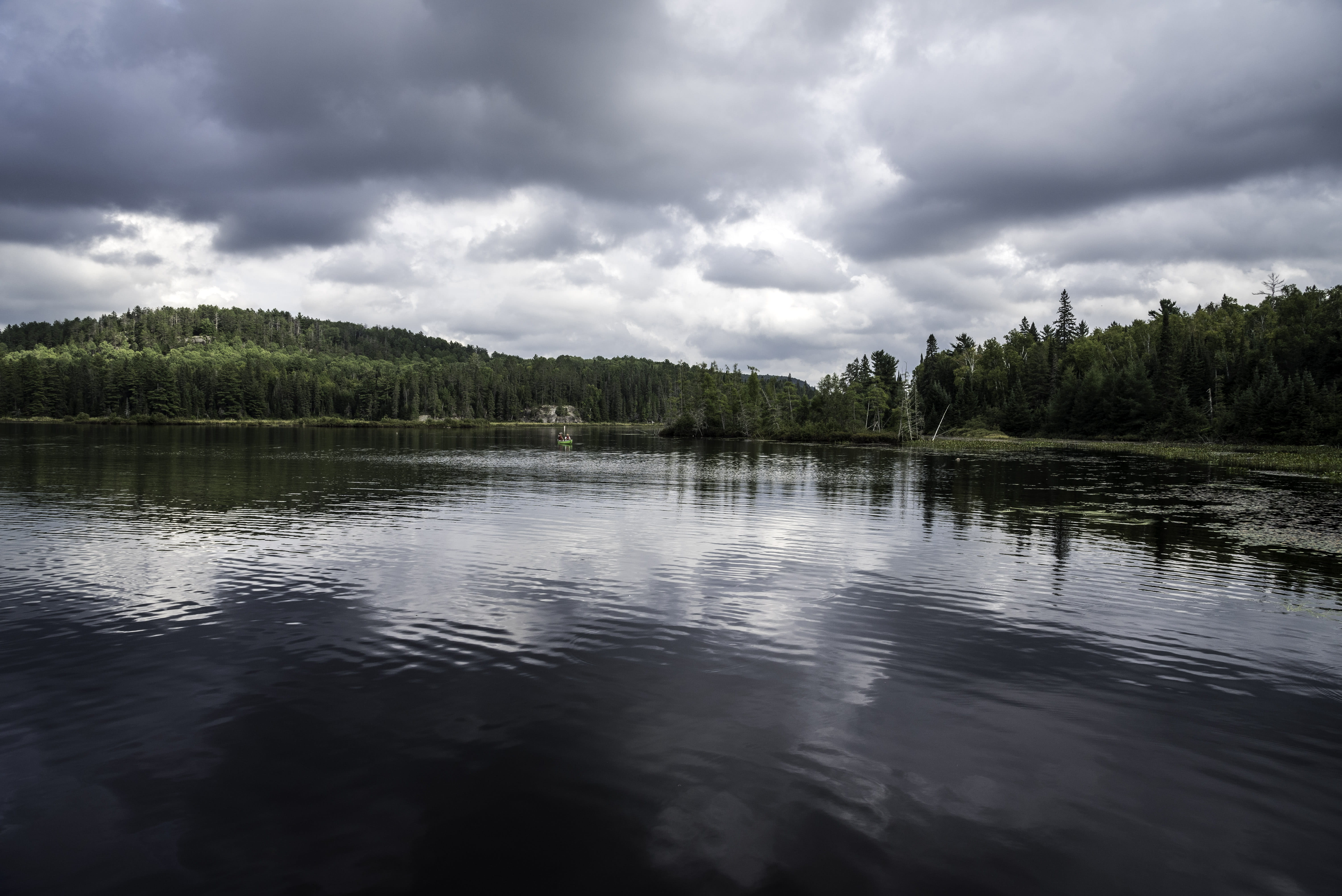tranquil Scene, Algonquin Provincial Park, sky, cloud - Sky, scenics - nature, clouds, photos, cloudscape, provincial, tree, Shoreline, color Image, landscapes, HD Wallpaper