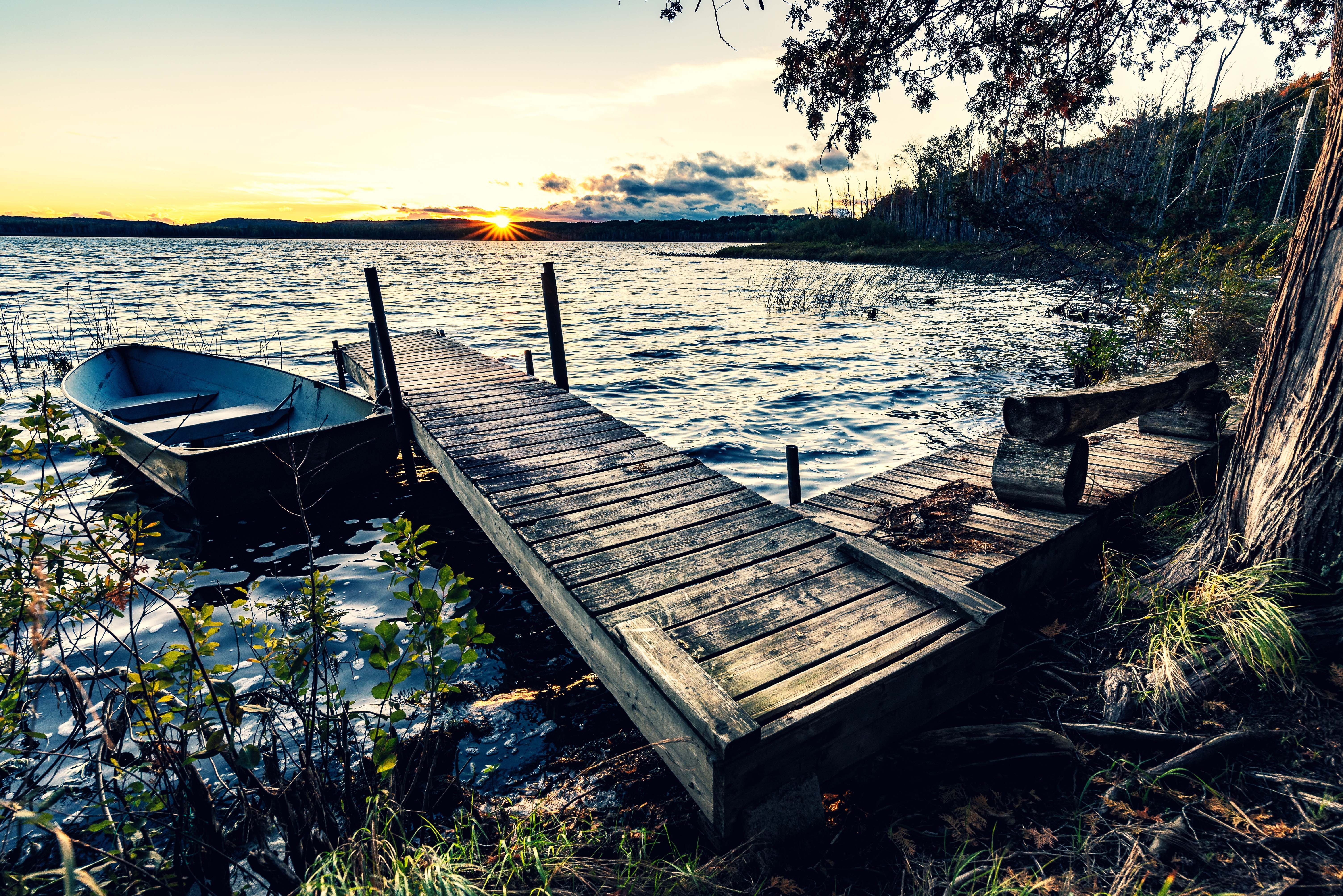 nature, color, tree, ontario, seat, forest, indian summer, tranquil scene, transportation, absence, canada, nautical vessel, scenics - nature, wood - material, HD Wallpaper
