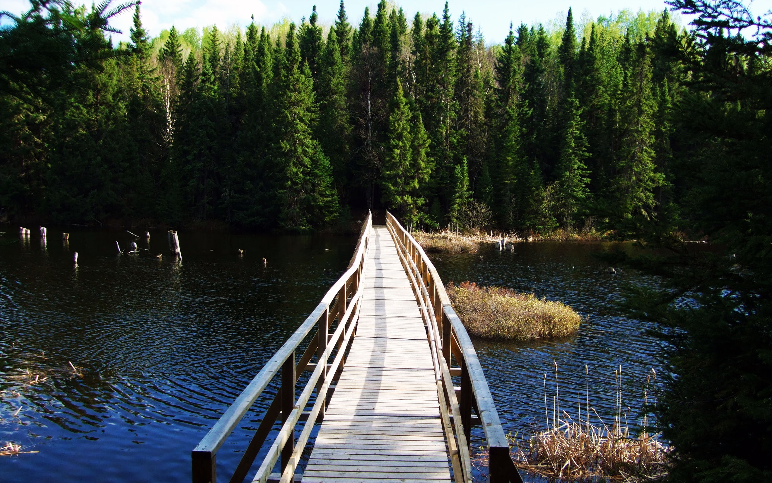 Ontario, lake, hd, forests, art, bridge, 2K, nature, Chapleau, Armstrong, Northern Ontario, HD Wallpaper