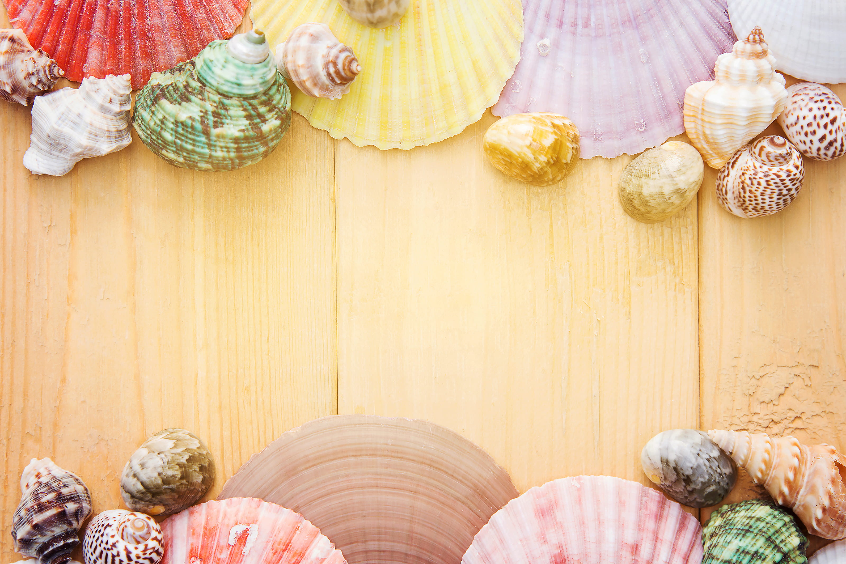 texture, wall - building feature, wooden, shellfish, domestic room, ornament, cover, decoration, wood - material, lifestyles, seashell, copy space, vacation, HD Wallpaper