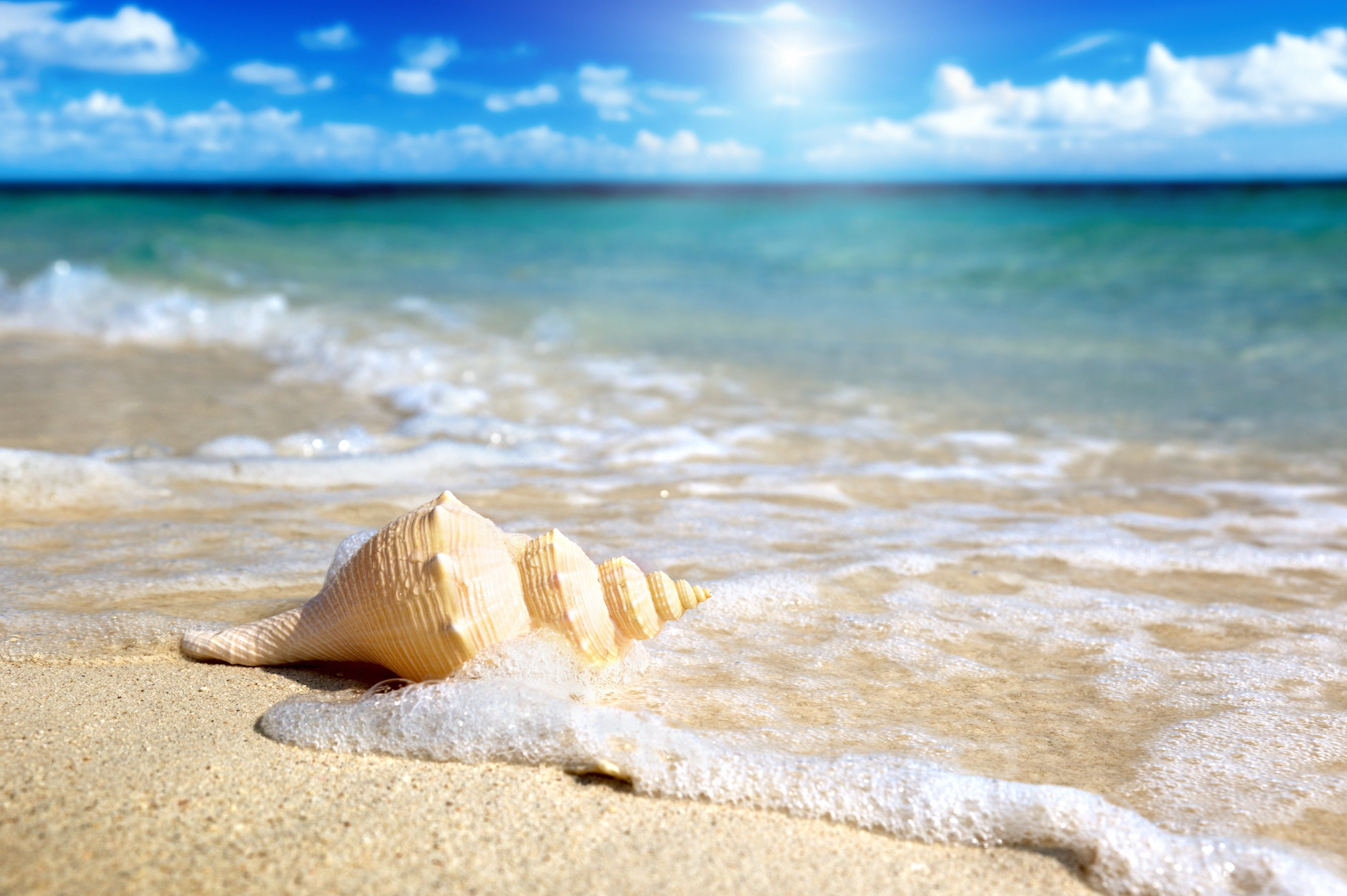 tranquil Scene, the sun, landscape, beach, land, sunlight, travel Destinations, travel Locations, scenics - nature, sun, scenics, nature, sky, outdoors, HD Wallpaper