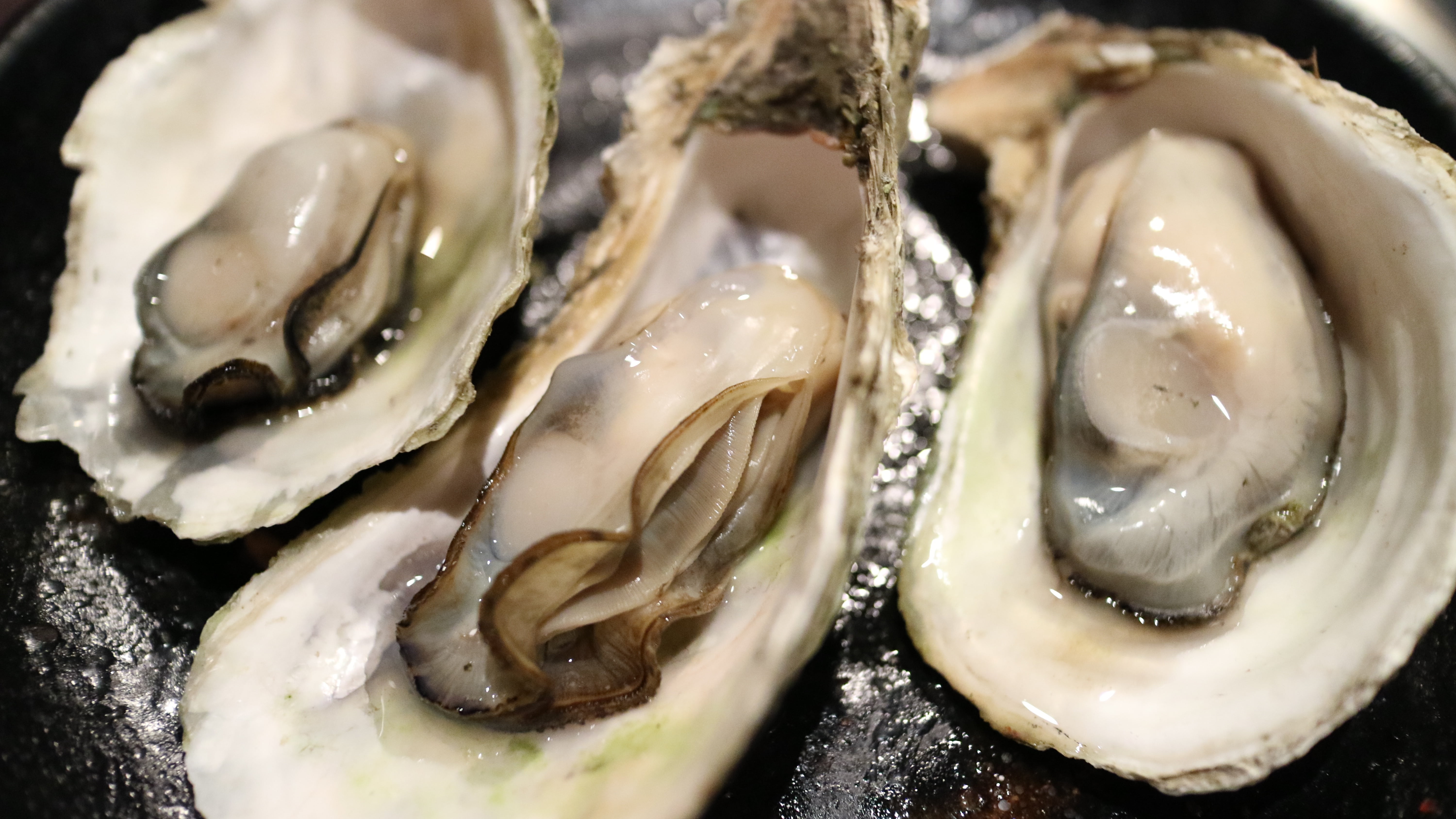 food and drink, animal wildlife, food, still life, seafood, oysters, prepared Oysters, gourmet, sea products, dry bay, mollusk, barbecue, oyster, 5K, french food, HD Wallpaper