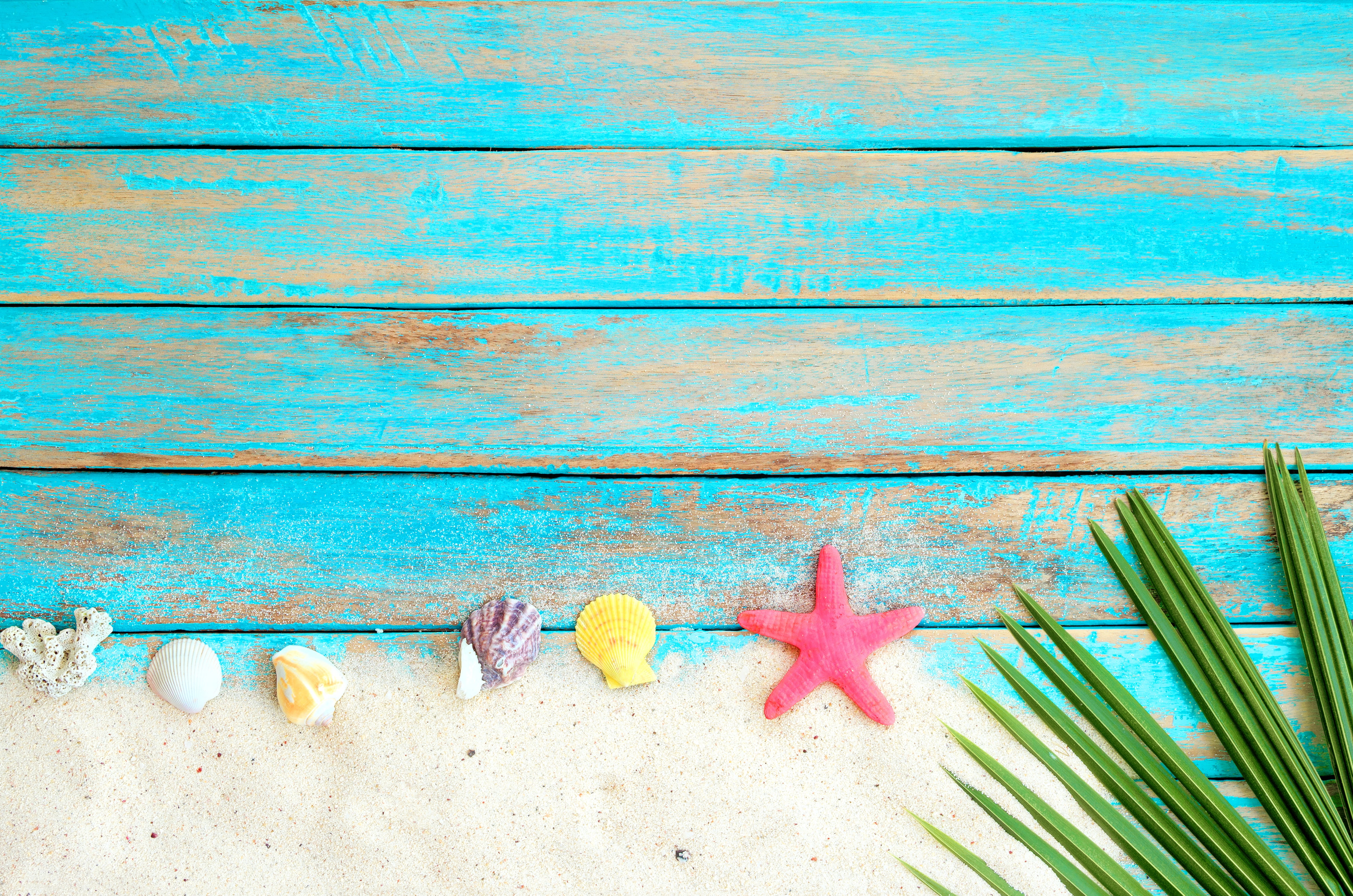 Board, wood, shell, starfish, summer, beach, sand, marine, 4K, star, seashells, background, HD Wallpaper