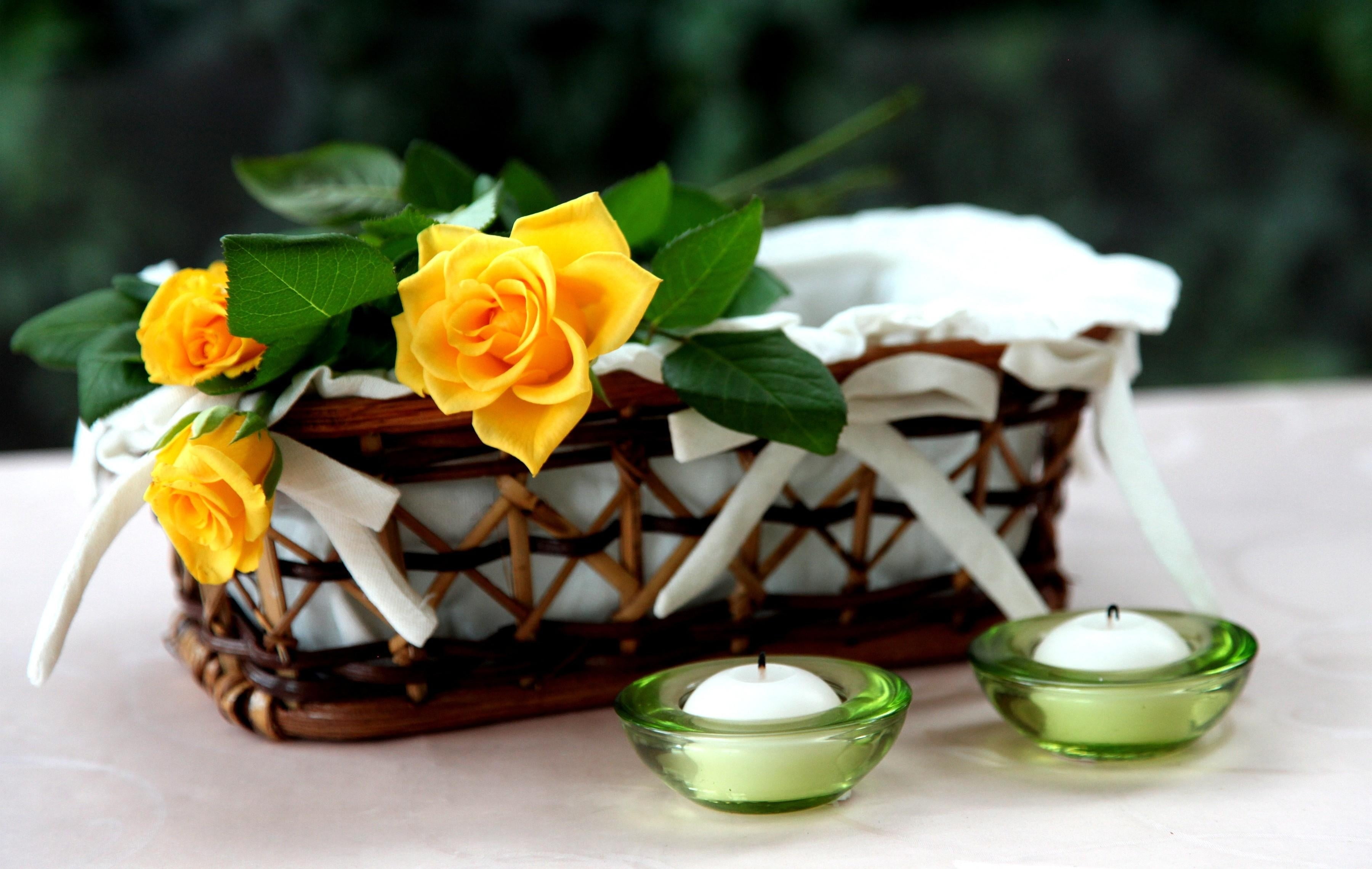 indulgence, dessert, beauty, temptation, focus on foreground, flowering plant, two, wood - Material, single Flower, table, rose, flower, leaves, glass, HD Wallpaper