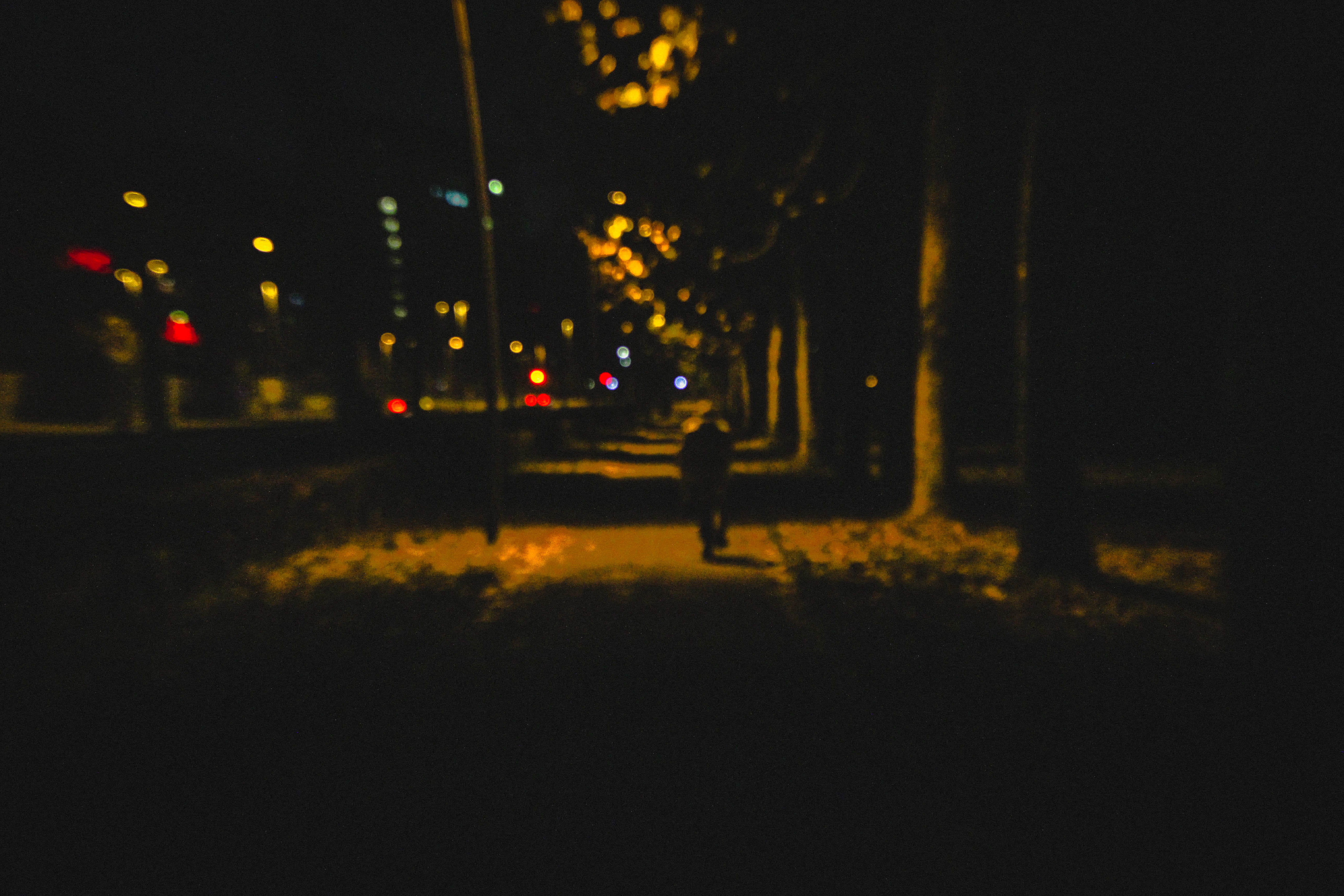 lights, car, life, street light, autumn, italy, tree, plant, streetlights, alone, travel, light - natural phenomenon, cycle, 5K, canon, no people, outdoors, HD Wallpaper