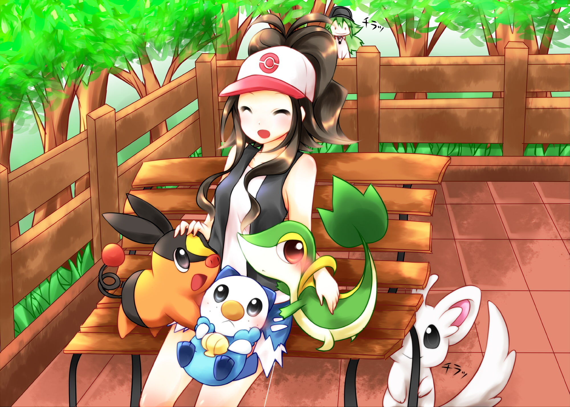 1080P, Snivy (Pokemon), Pokemon: Black and White, Tepig (Pokémon), Minccino (Pokémon), N (Pokémon), Pokémon, Oshawott (Pokémon), HD Wallpaper