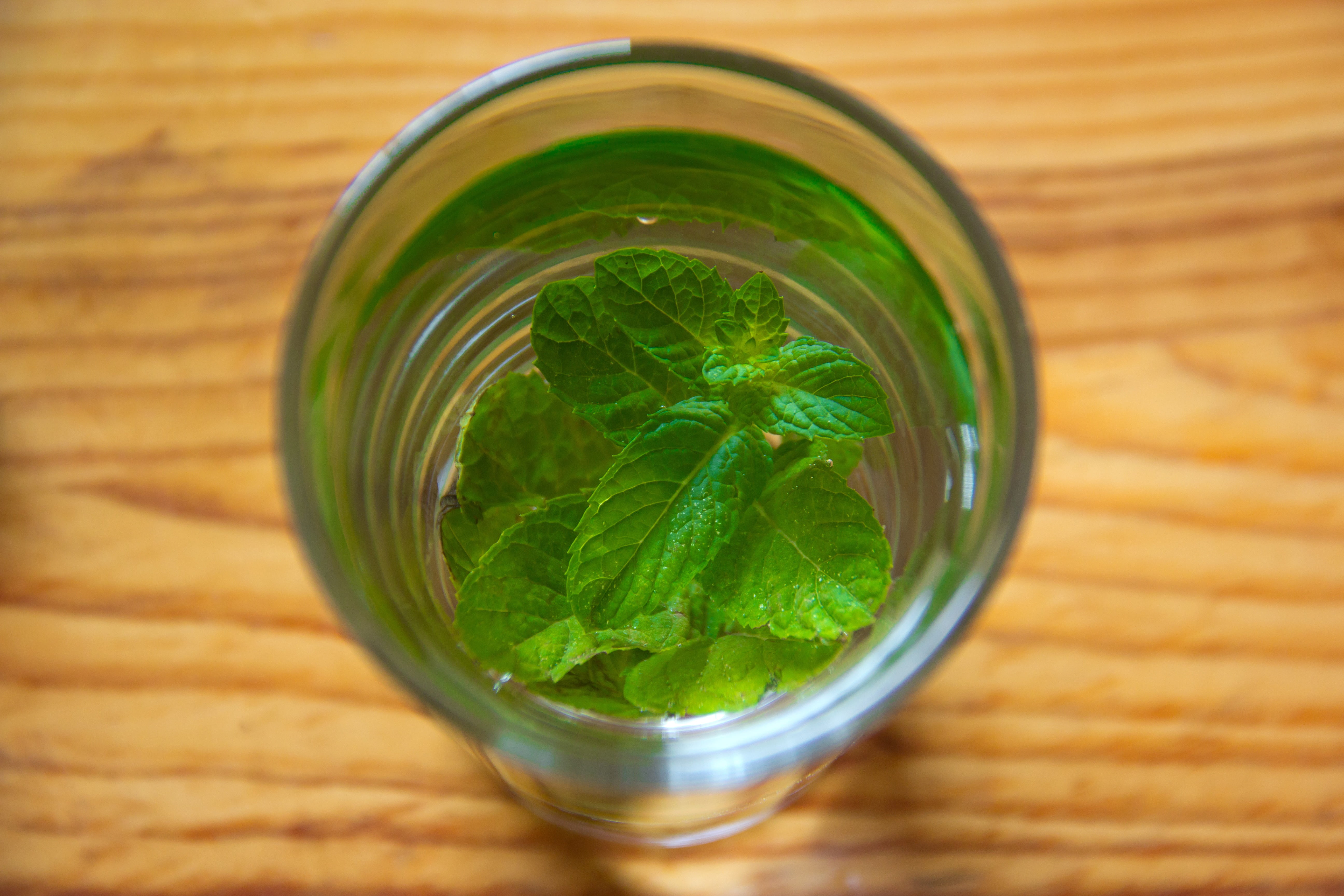 fresh, summer, sweet, natural, water, food and drink, directly above, mint Leaf - Culinary, inside, glass - Material, glass, healthy eating, no people, HD Wallpaper