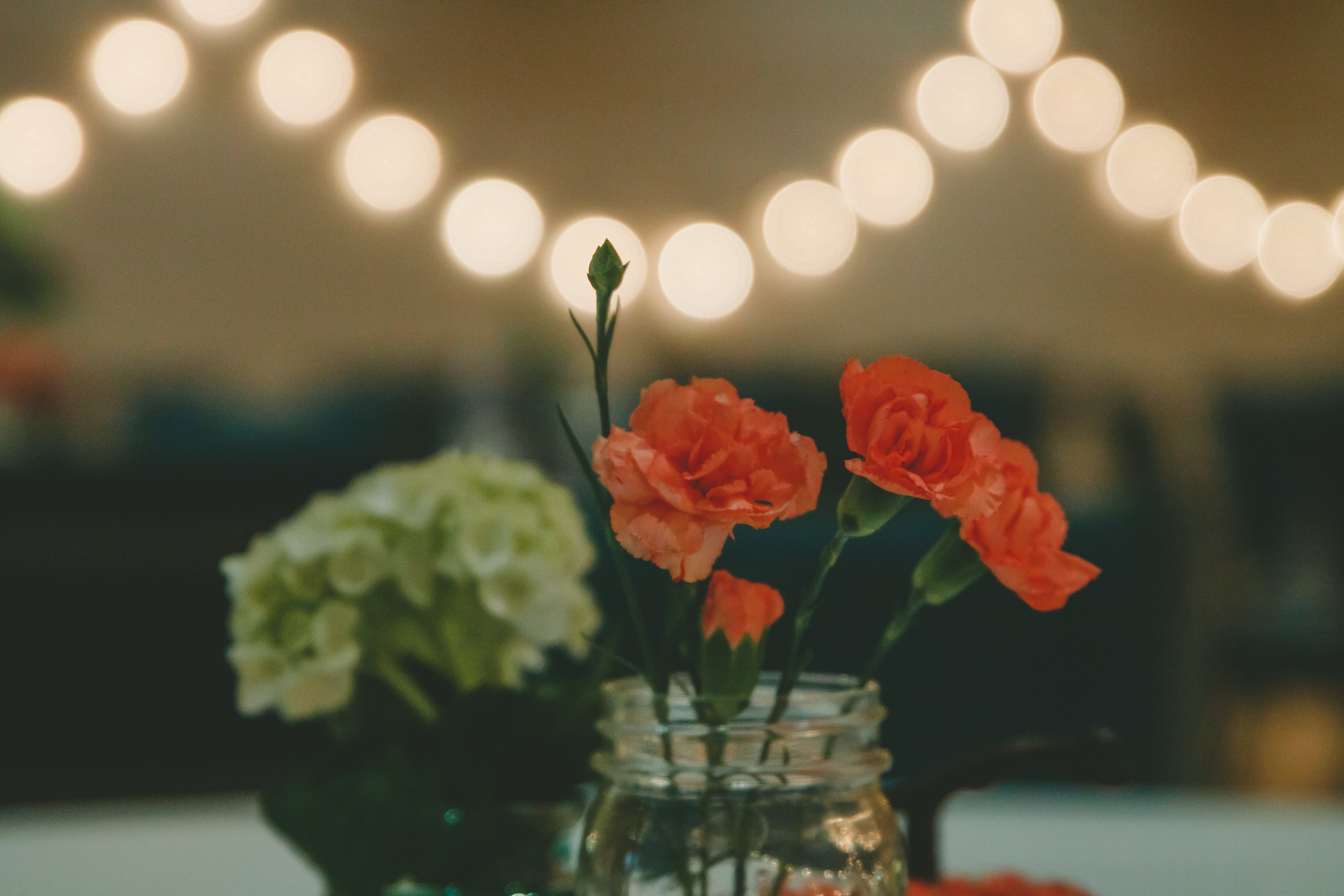 lights, vase, fragility, flowering plant, bunch of flowers, photo, close-up, flowers, selective, jar, bouquet, rose, blur, photography, focus on foreground, HD Wallpaper