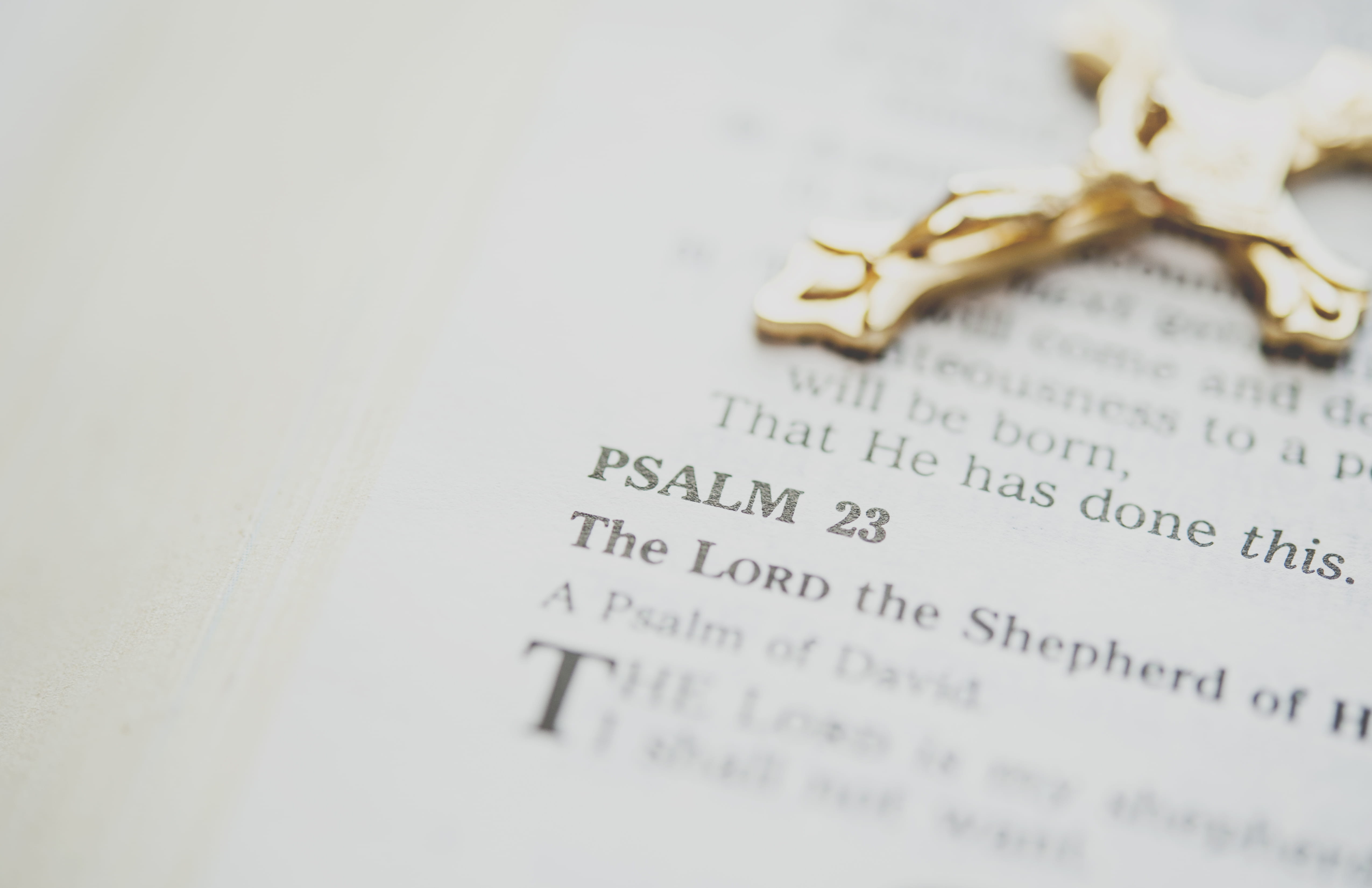 religion, crucifix, jesu, celebration, love, text, cross, studio shot, western script, wedding ring, copy space, rosary, words, emotion, indoors, no people, HD Wallpaper