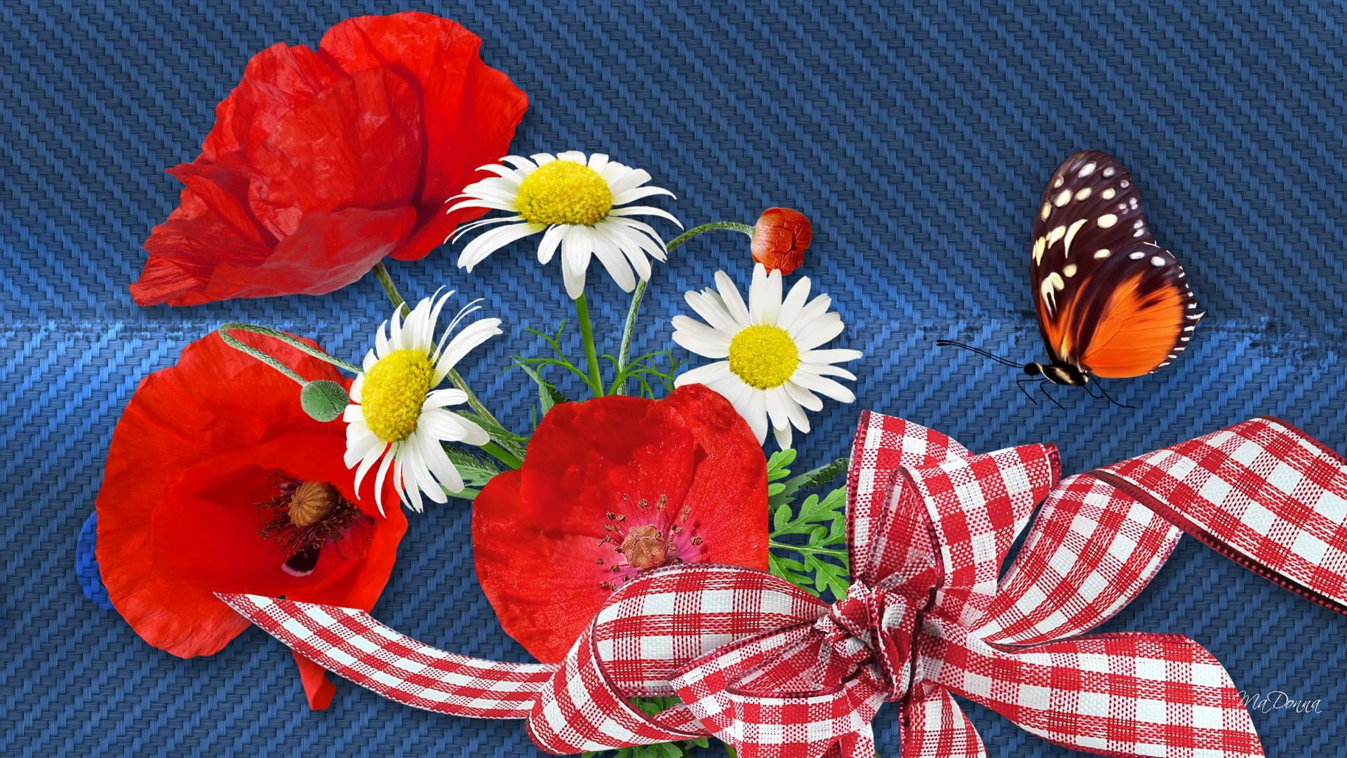 white, summer, gingham, brown, daisies, blue, ripped, bright, ribbon, checked, papillon, butterfly, poppies, jeans, daisy, fabric, orange, 1080P, flowers, HD Wallpaper