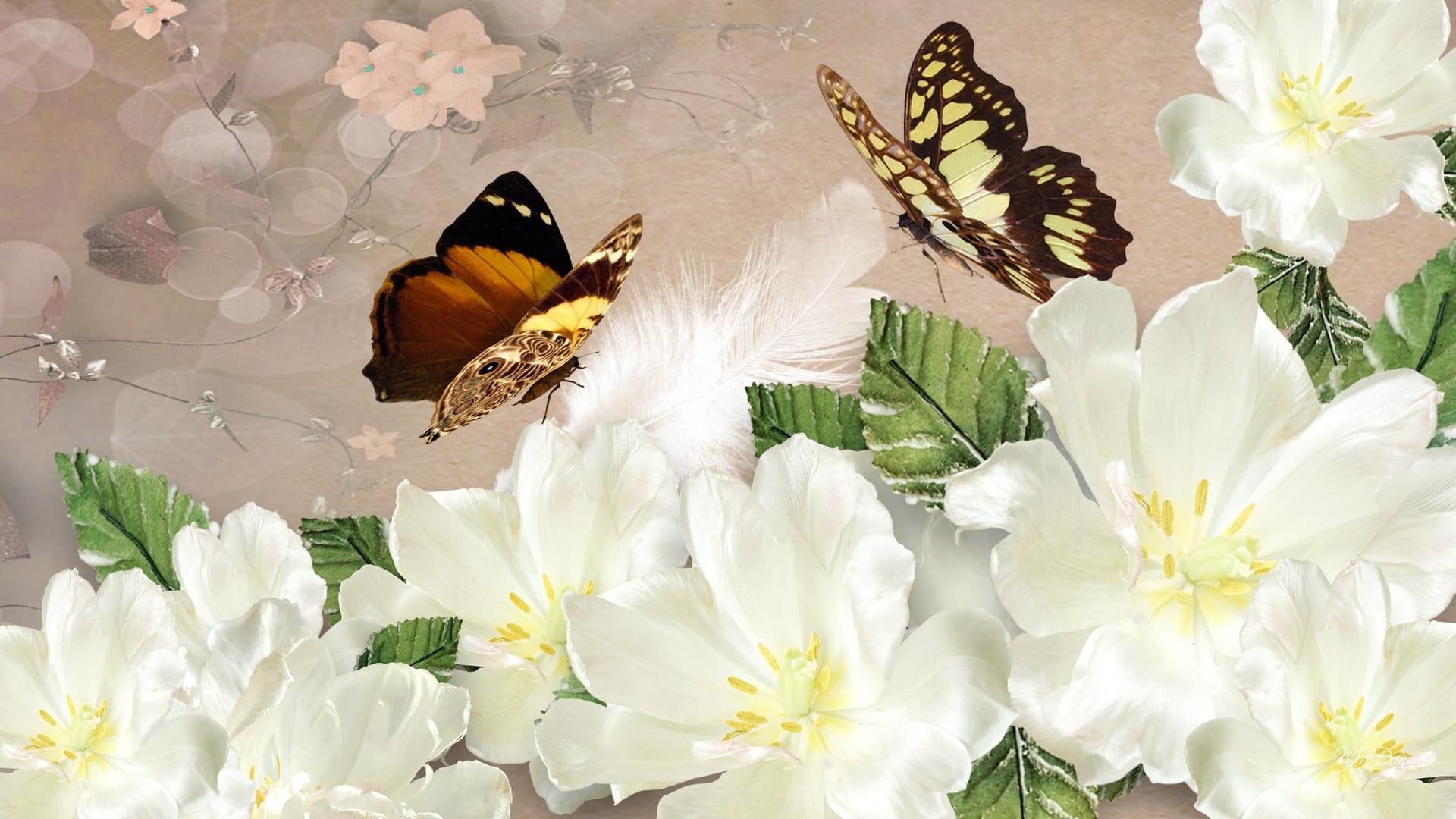 fleurs, soft, pretty, butterflies, spring, lovely, rose, summer, flowers, 1080P, white, nature and, beautiful, HD Wallpaper
