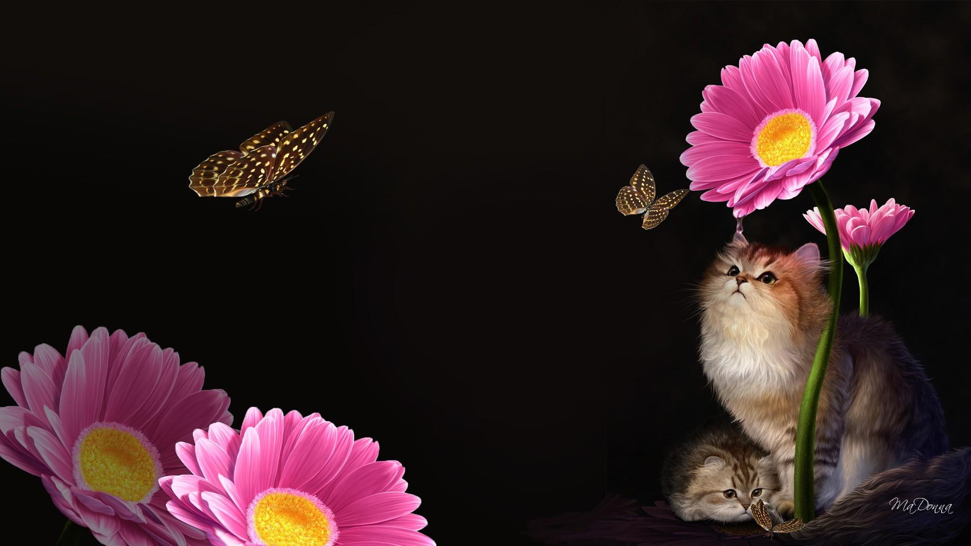 nature, kitty, brown, sweet, love, fur, illustration, cat, pink, feline, mothe, black, butterfly, papillon, chrysanthemum, long, mothers day, kitten, flowers, HD Wallpaper